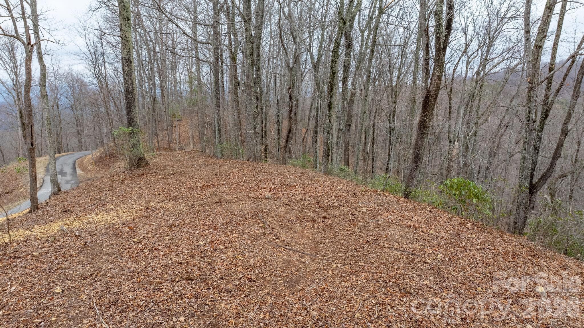 Lot at 0 Mountain Crest Drive S, Marion, photo 9 of 27