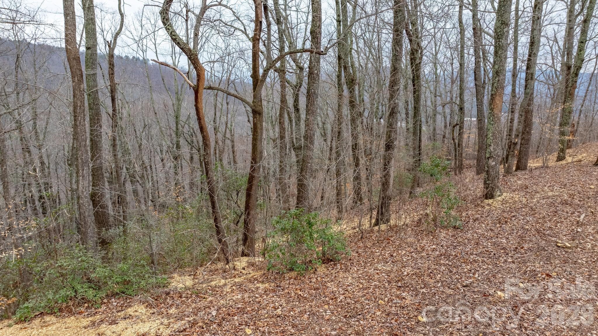 Lot at 0 Mountain Crest Drive S, Marion, photo 10 of 27