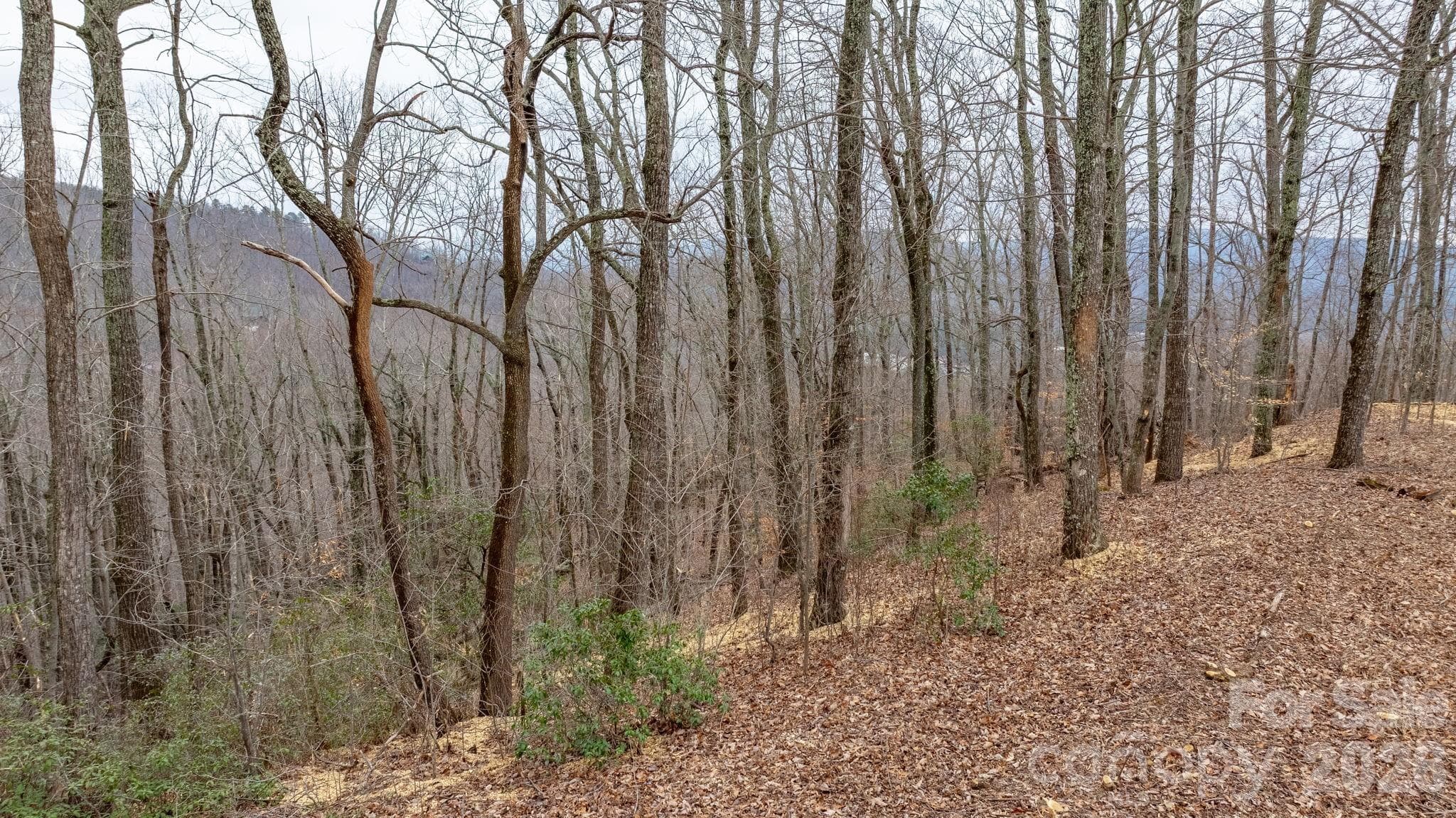 Lot at 0 Mountain Crest Drive S, Marion, photo 11 of 27