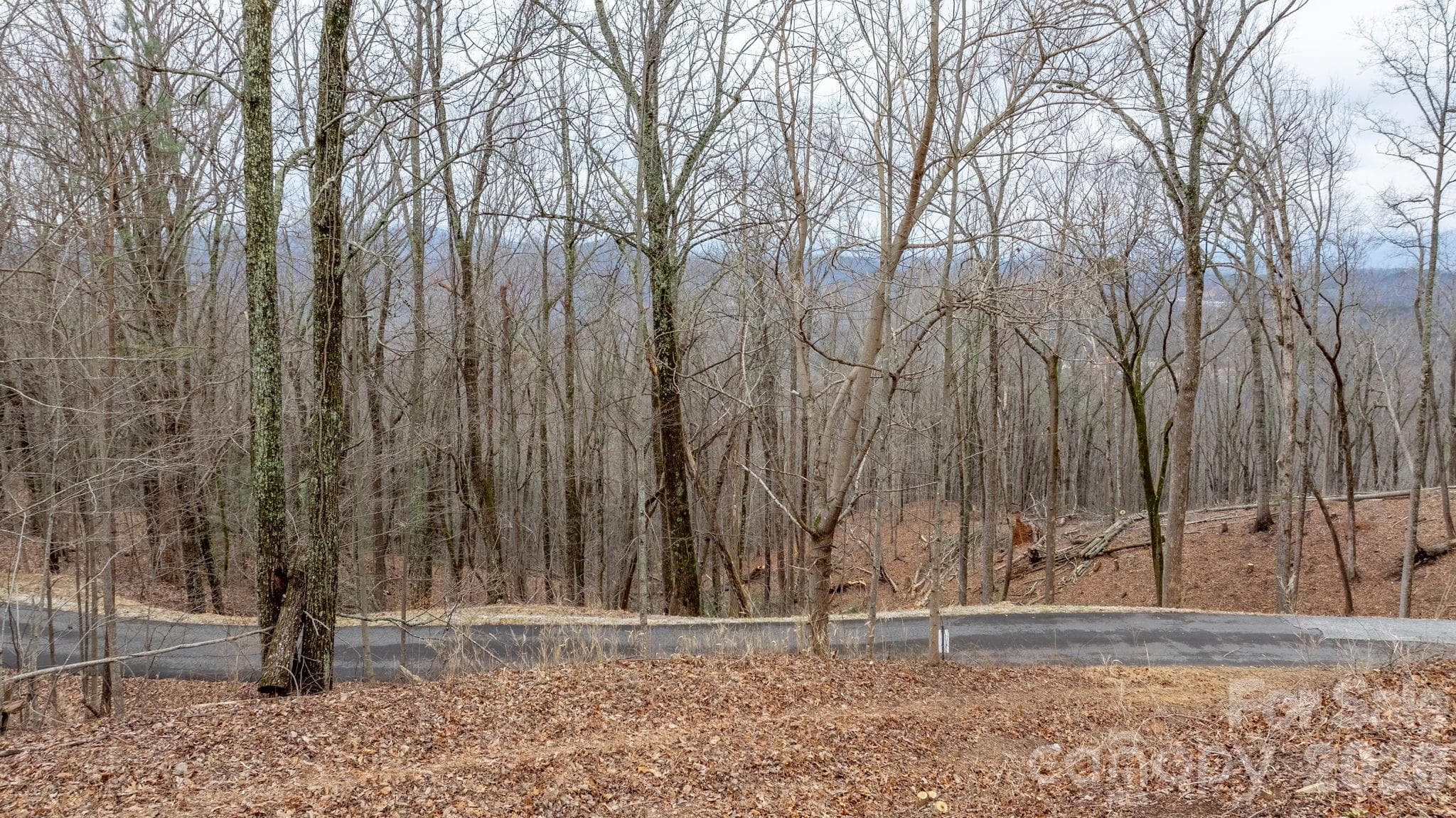 Lot at 0 Mountain Crest Drive S, Marion, photo 12 of 27