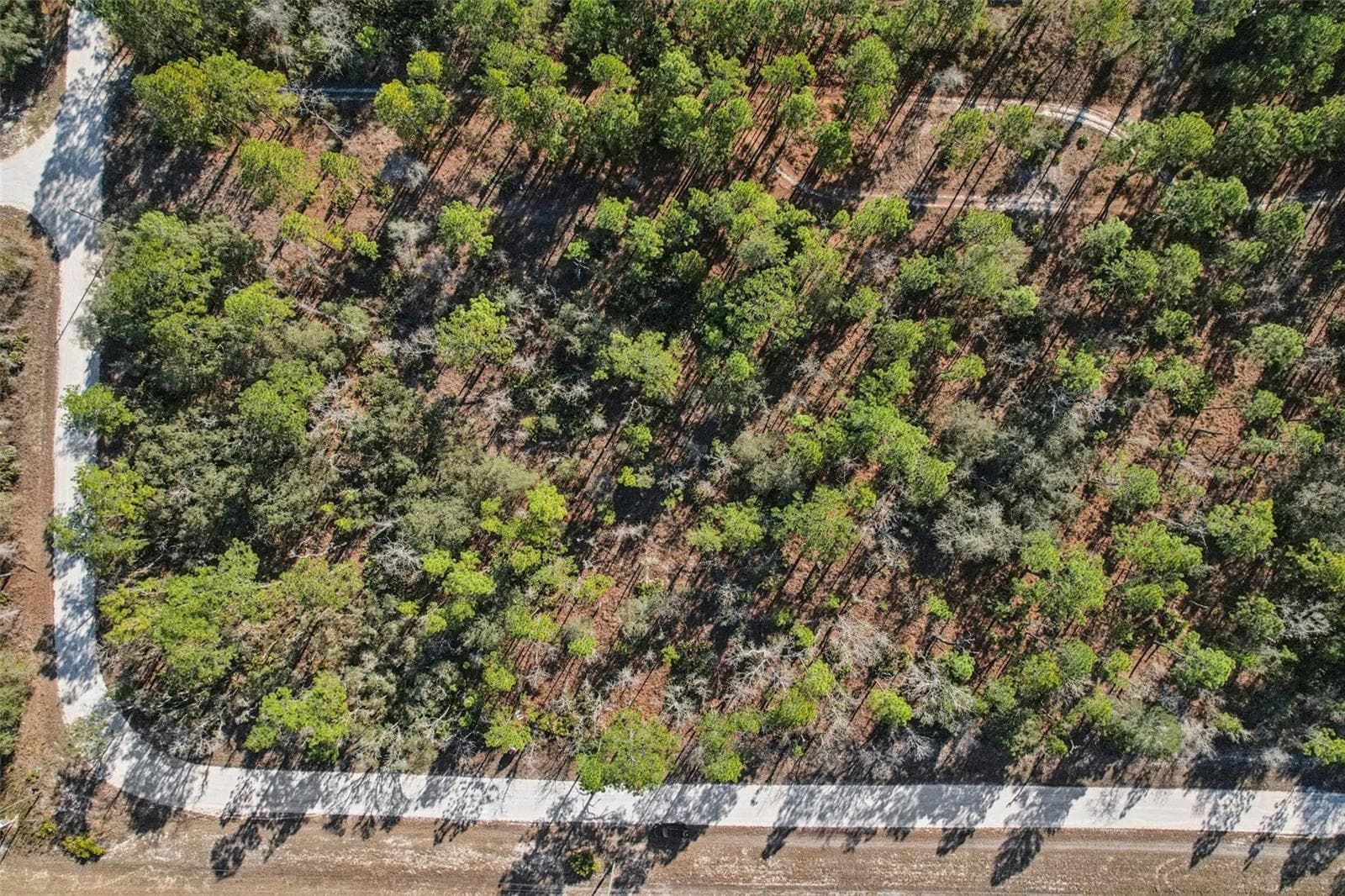Land at 17496 NICASIO JAY AVE, WEEKI WACHEE, photo 15 of 16
