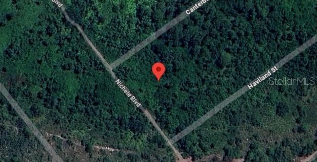 Vacant, wooded lot for sale. - 455 NICHELE BLVD, LAKE PLACID