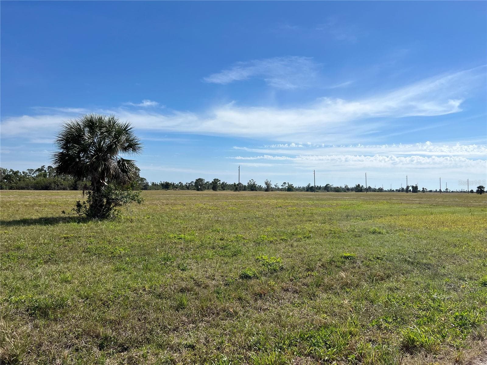 Land at 12386 GREENLING WAY, PLACIDA, photo 5 of 5