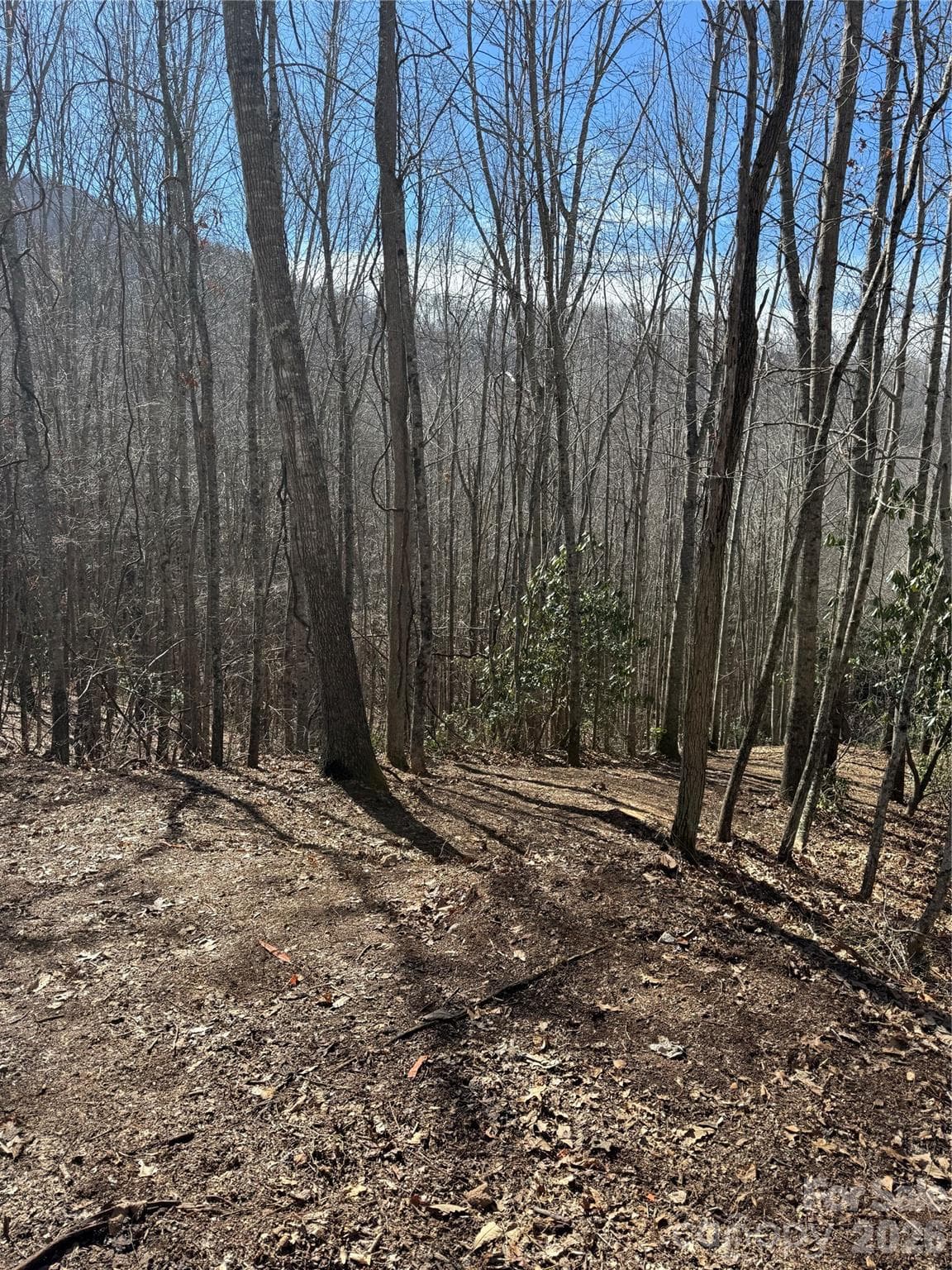 Lot at Sylva, photo 2 of 4