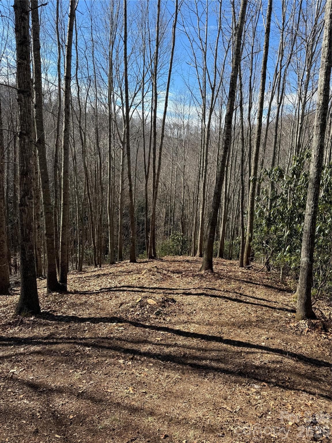 Lot at Sylva, photo 4 of 4