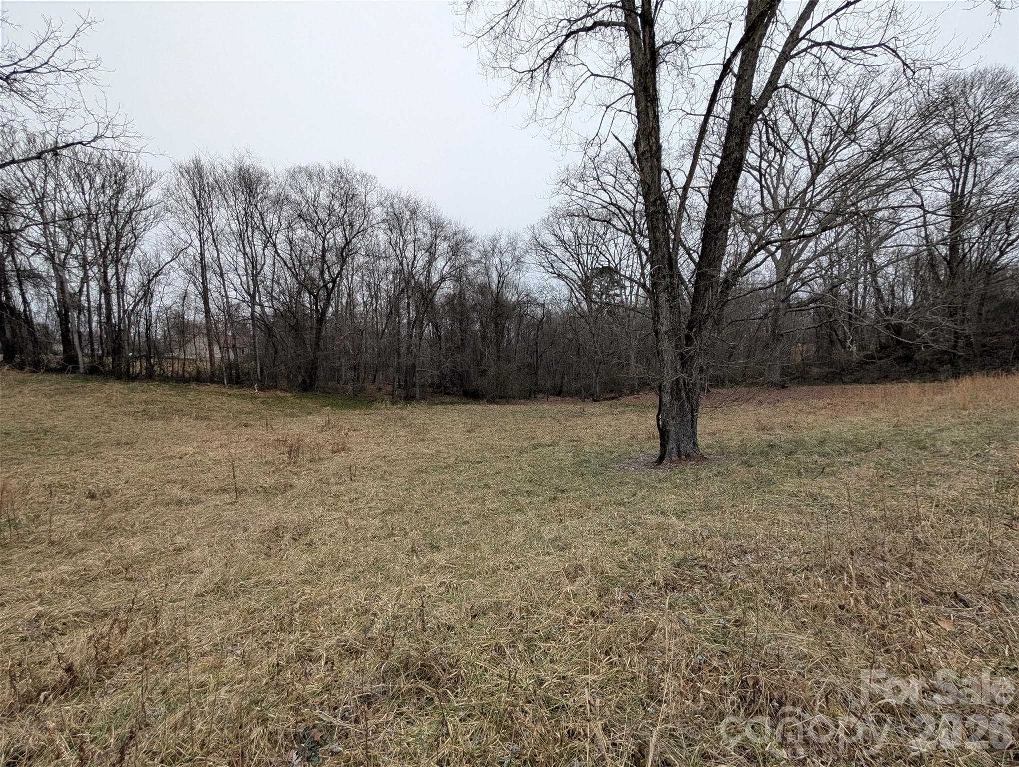 Lot at 1178 US Highway 21 Highway, State Road, photo 2 of 2