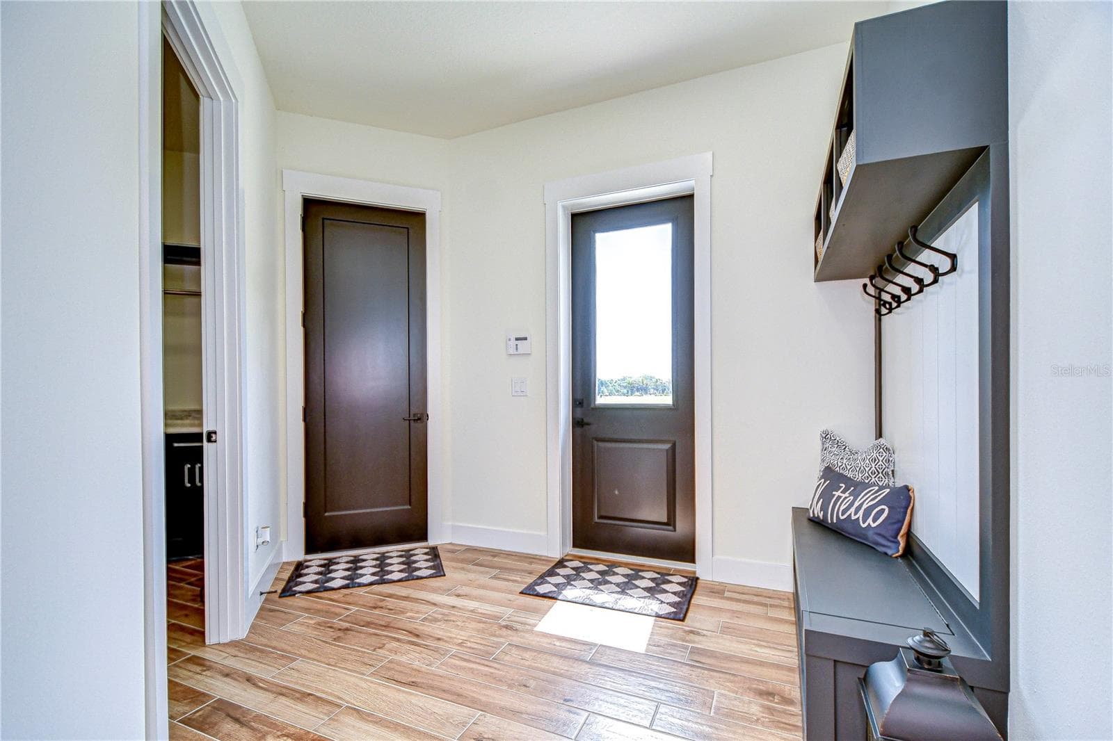 Backdoor - 111 ALAFIA ESTATES LN, LITHIA