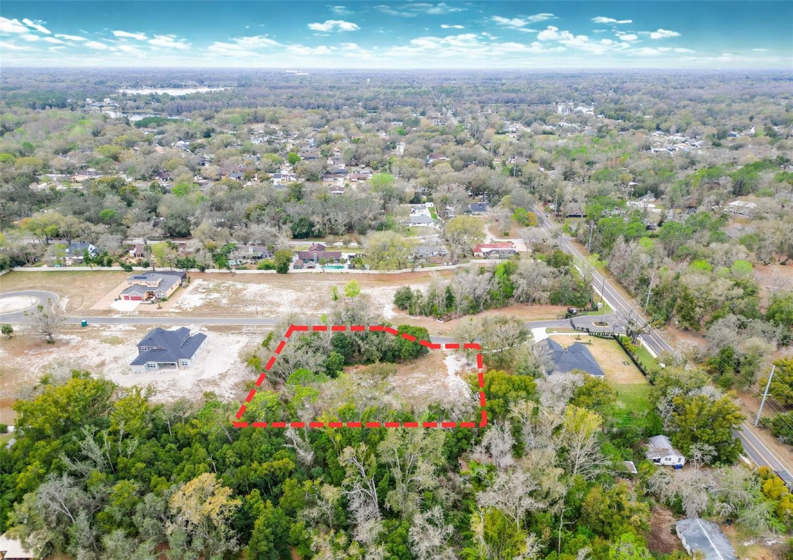 Land at 18469 PURPLE CREEK LN, LUTZ, photo 4 of 32