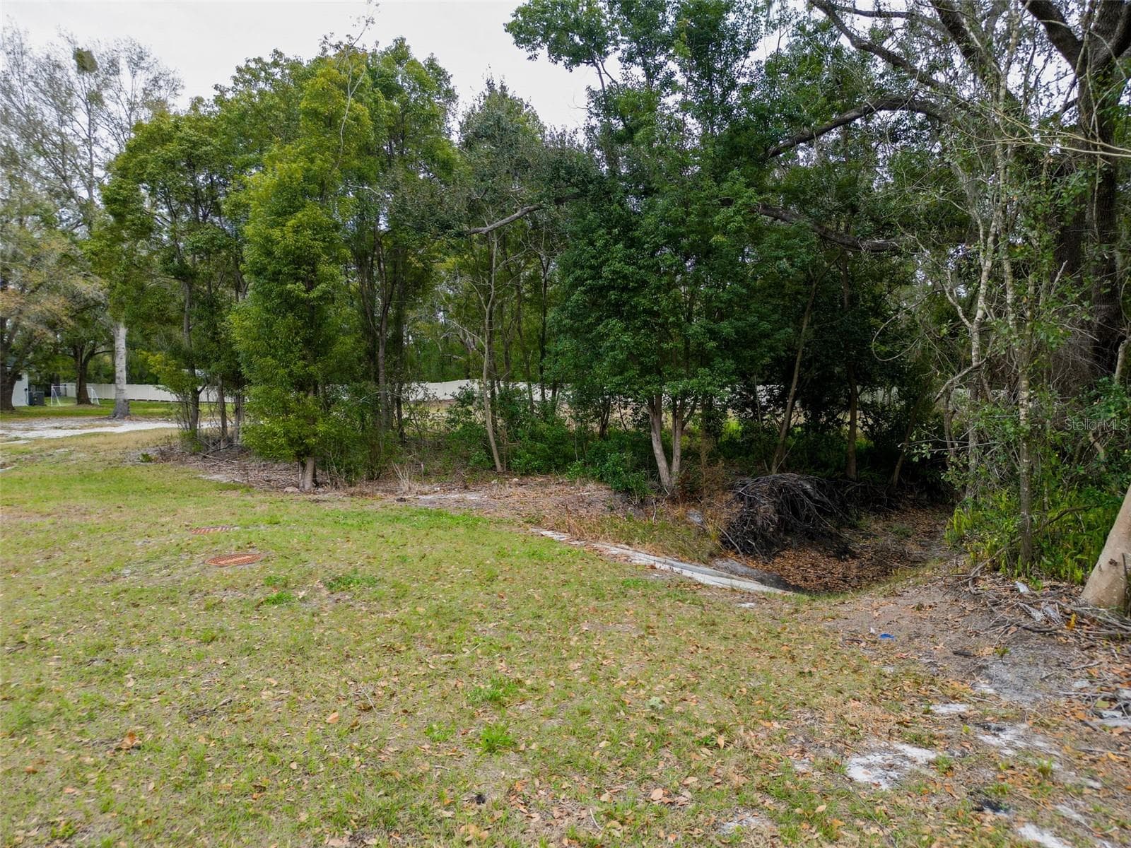 Land at 18469 PURPLE CREEK LN, LUTZ, photo 8 of 32