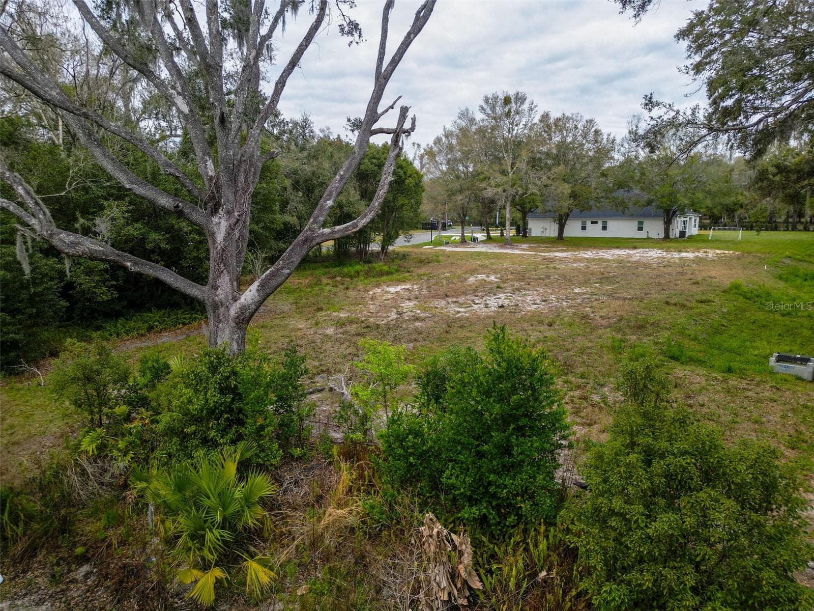 Land at 18469 PURPLE CREEK LN, LUTZ, photo 10 of 32