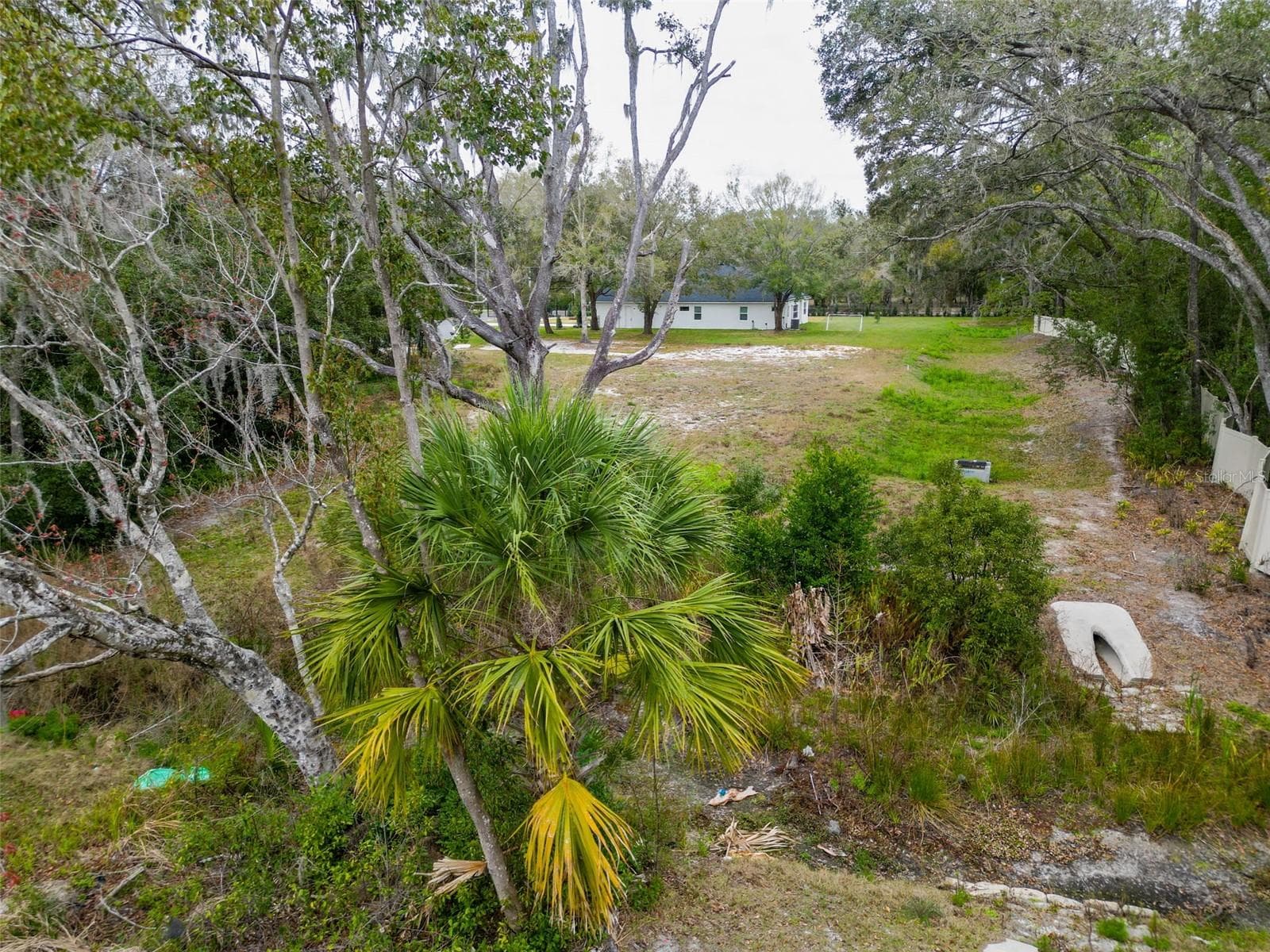 Land at 18469 PURPLE CREEK LN, LUTZ, photo 11 of 32