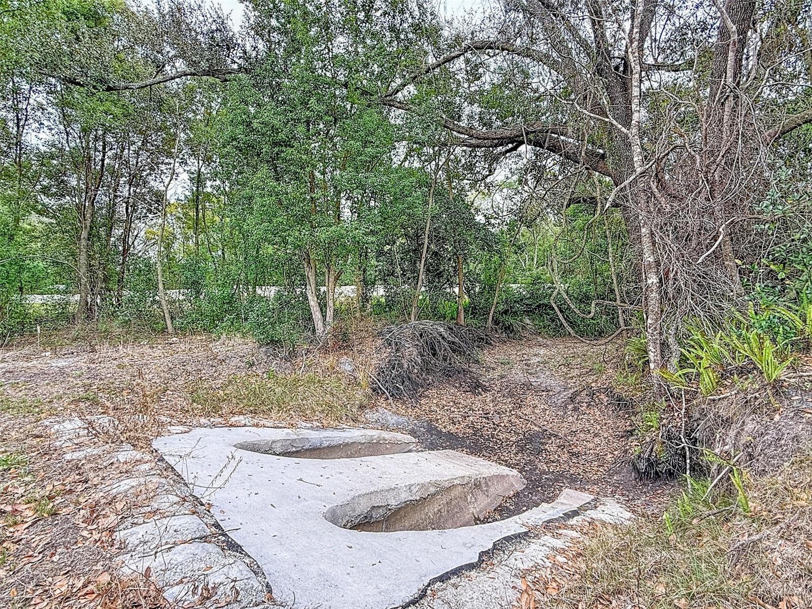 Land at 18469 PURPLE CREEK LN, LUTZ, photo 12 of 32