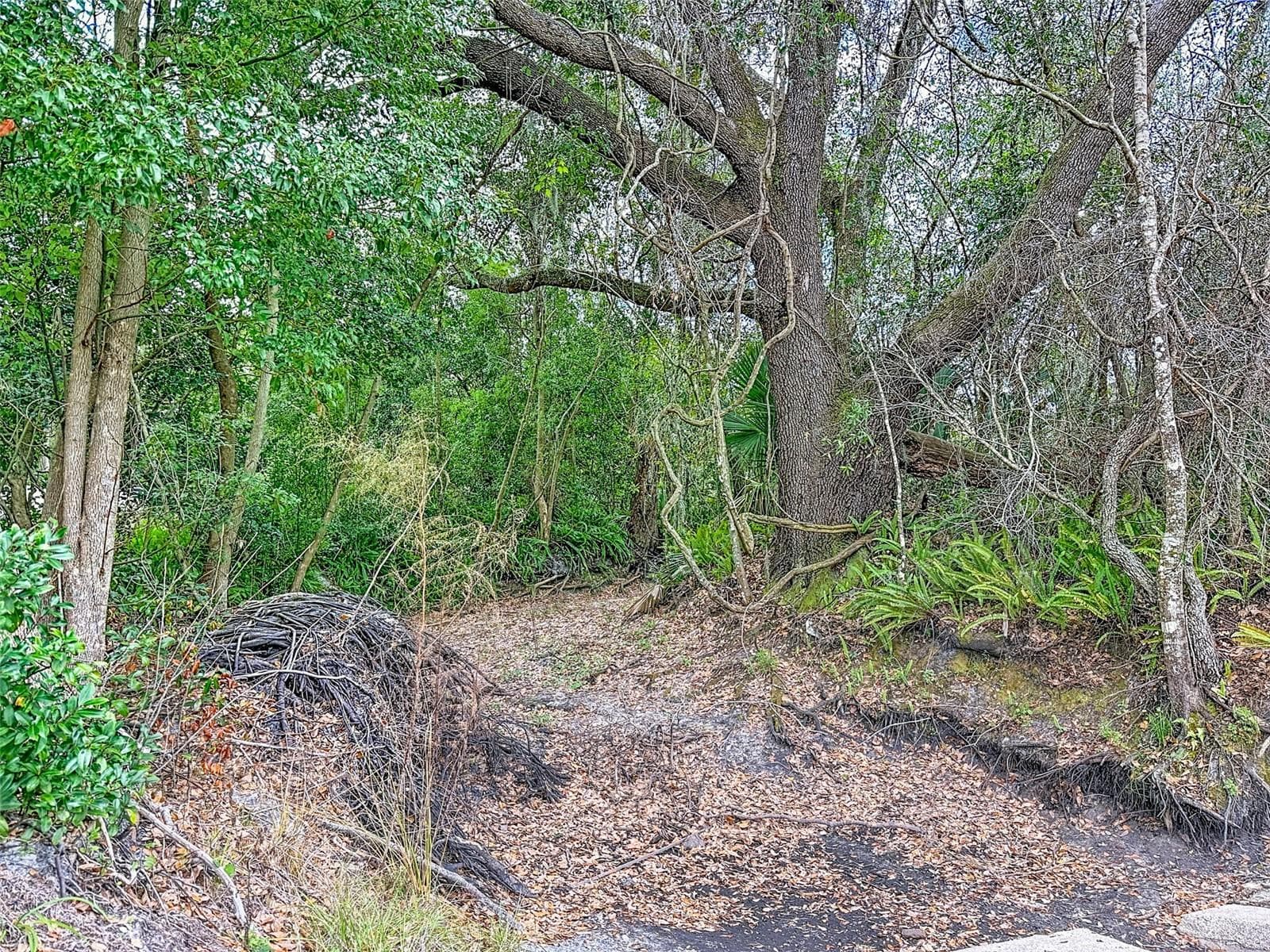 Land at 18469 PURPLE CREEK LN, LUTZ, photo 14 of 32
