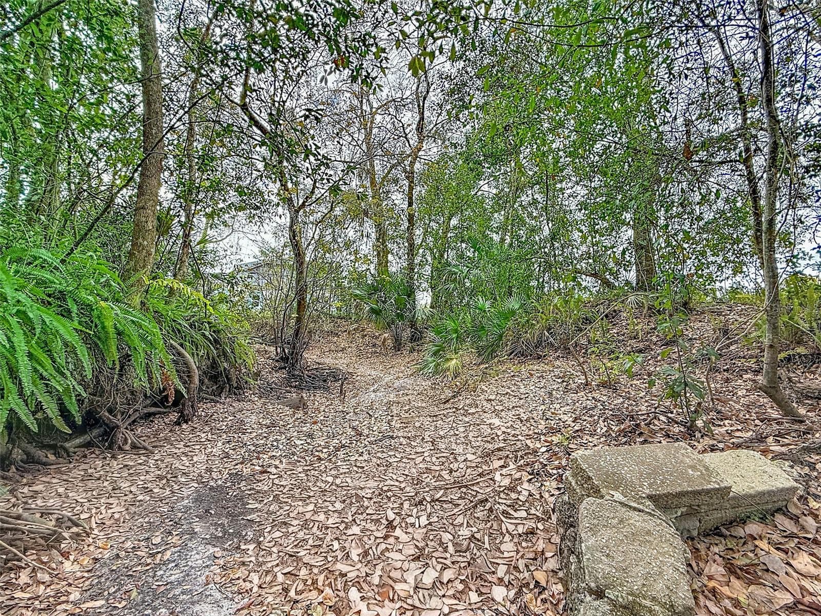 Land at 18469 PURPLE CREEK LN, LUTZ, photo 16 of 32