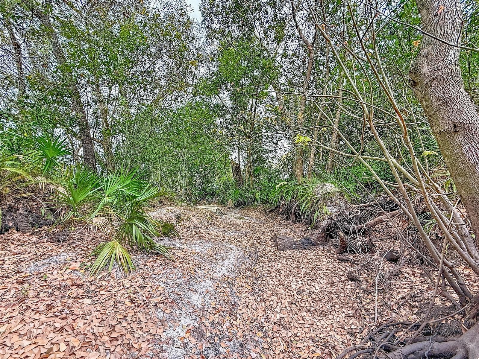 Land at 18469 PURPLE CREEK LN, LUTZ, photo 17 of 32