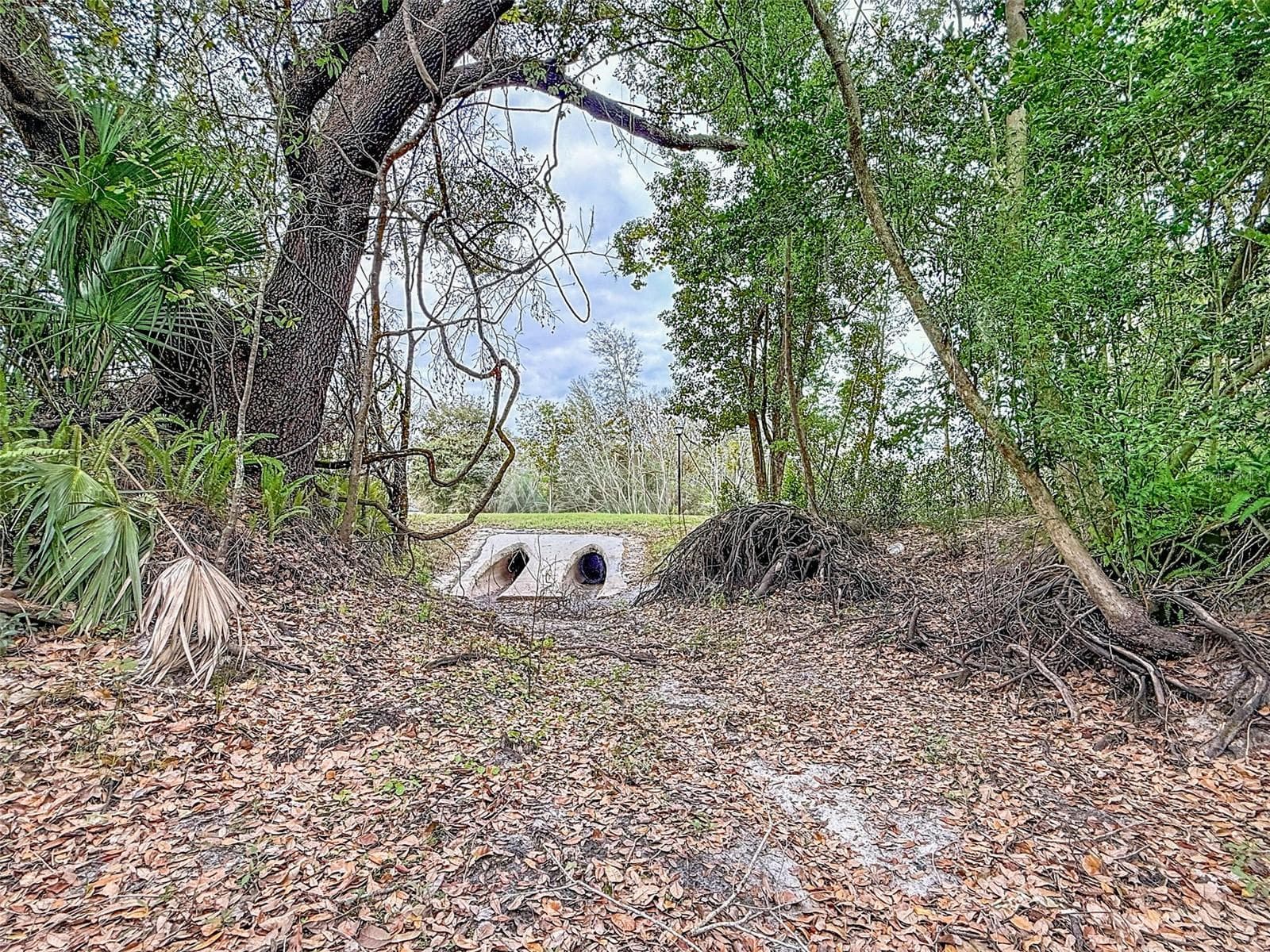 Land at 18469 PURPLE CREEK LN, LUTZ, photo 18 of 32