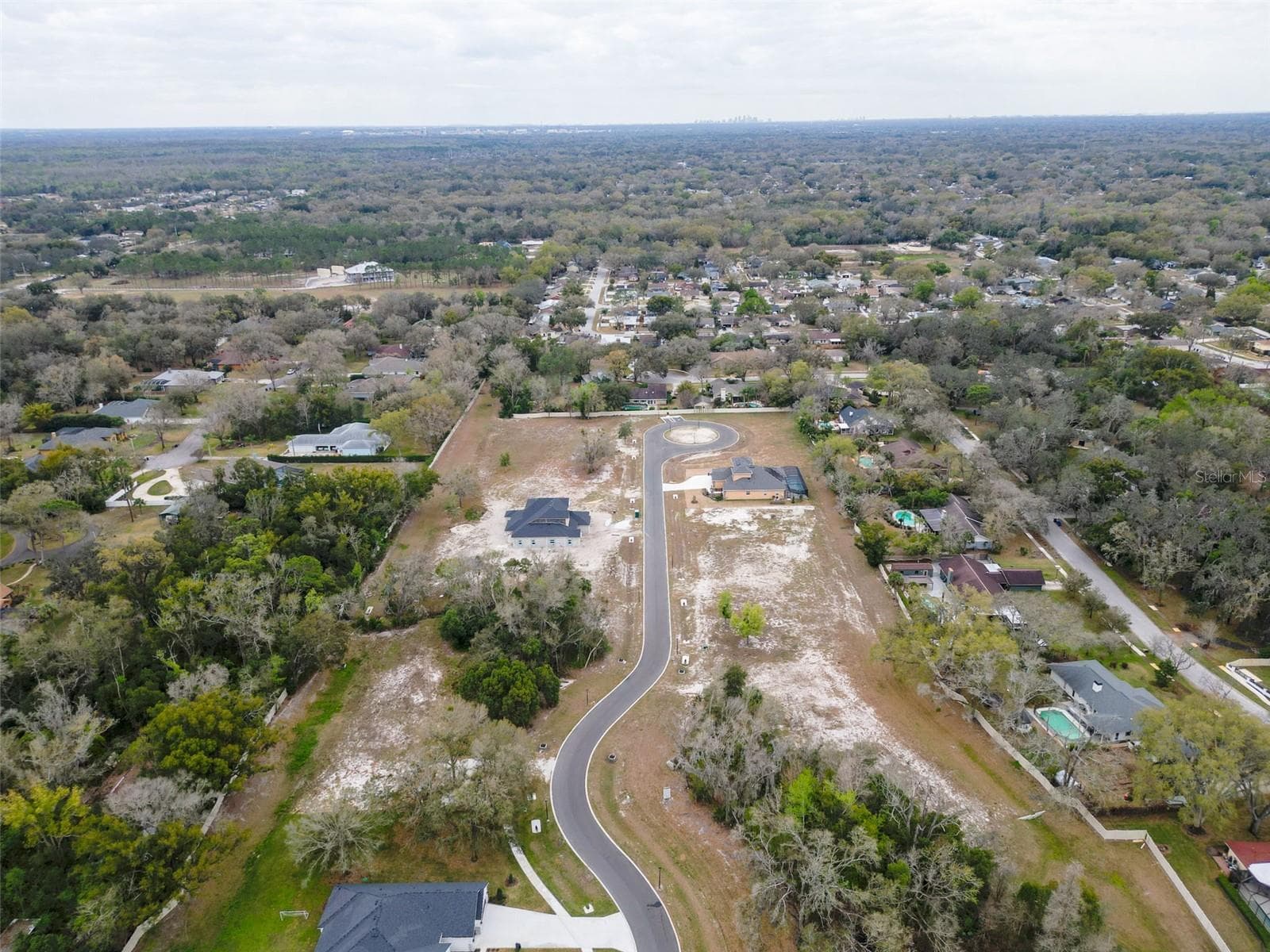 Land at 18469 PURPLE CREEK LN, LUTZ, photo 22 of 32