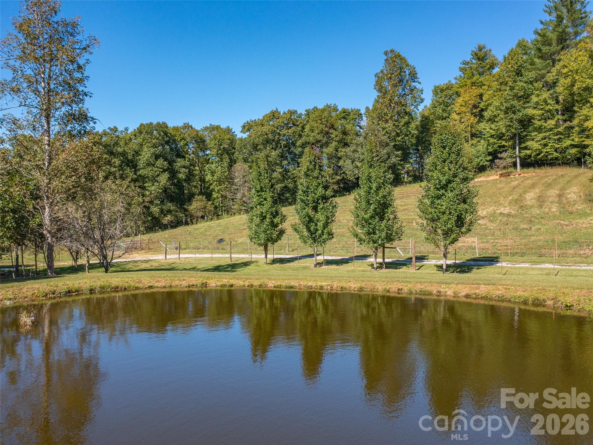 Acreage at 1050 Dale Road, Spruce Pine, photo 9 of 48