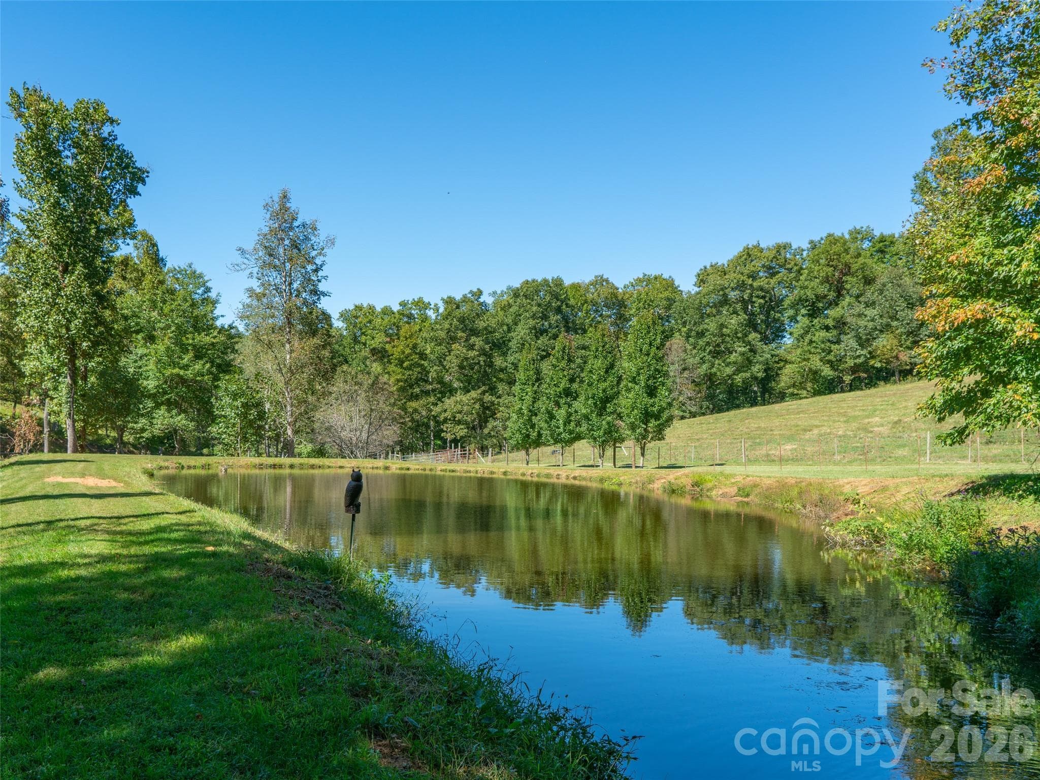 Acreage at 1050 Dale Road, Spruce Pine, photo 10 of 48