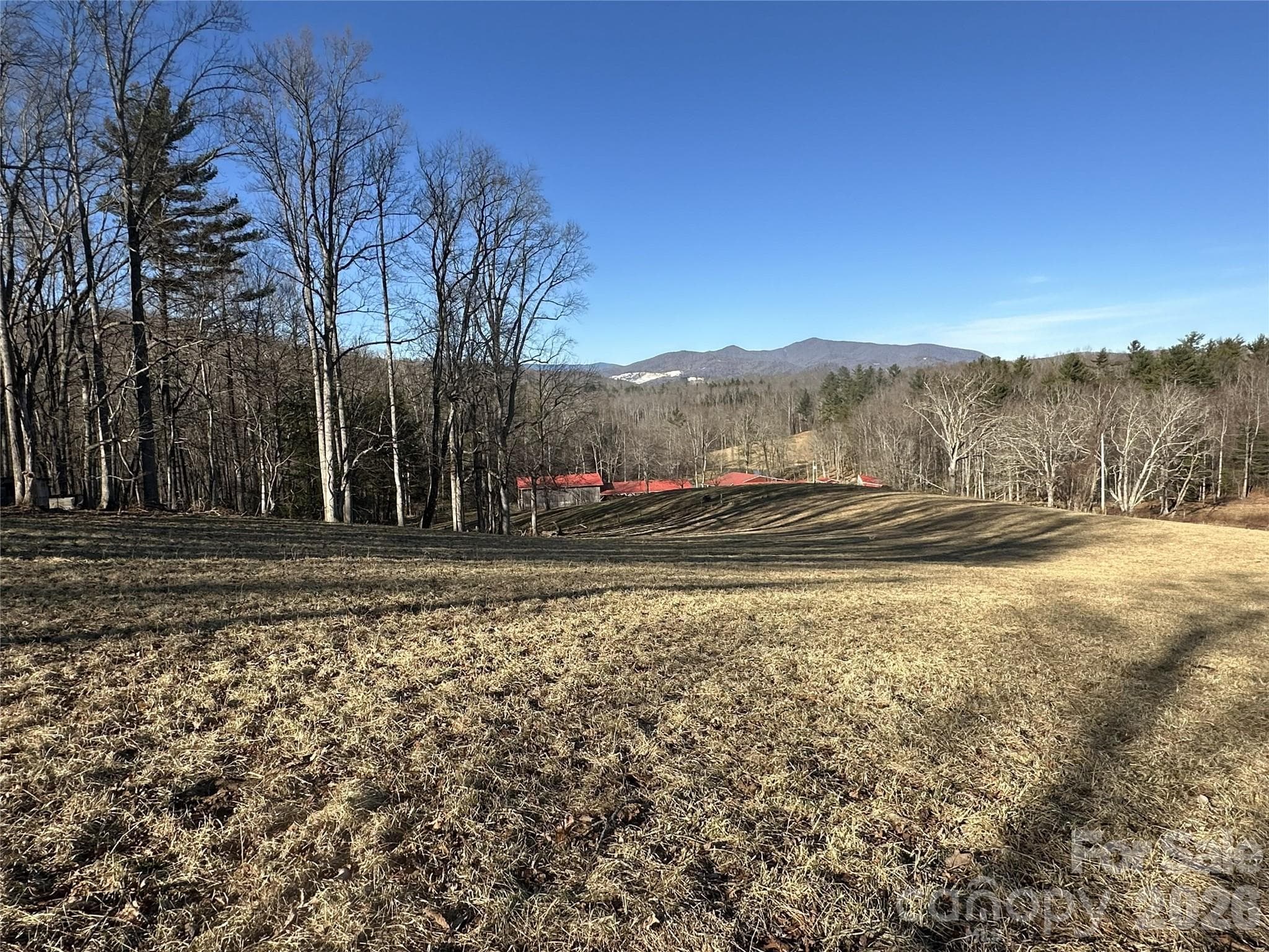 Acreage at 1050 Dale Road, Spruce Pine, photo 12 of 48