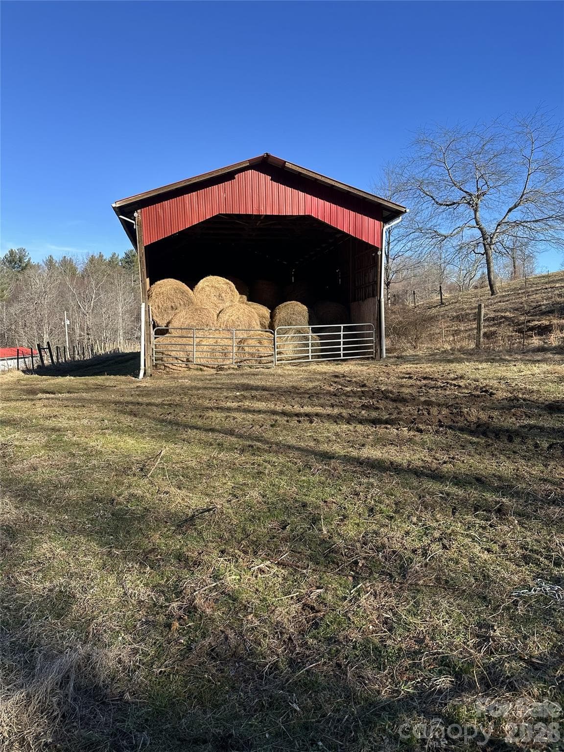 Acreage at 1050 Dale Road, Spruce Pine, photo 13 of 48