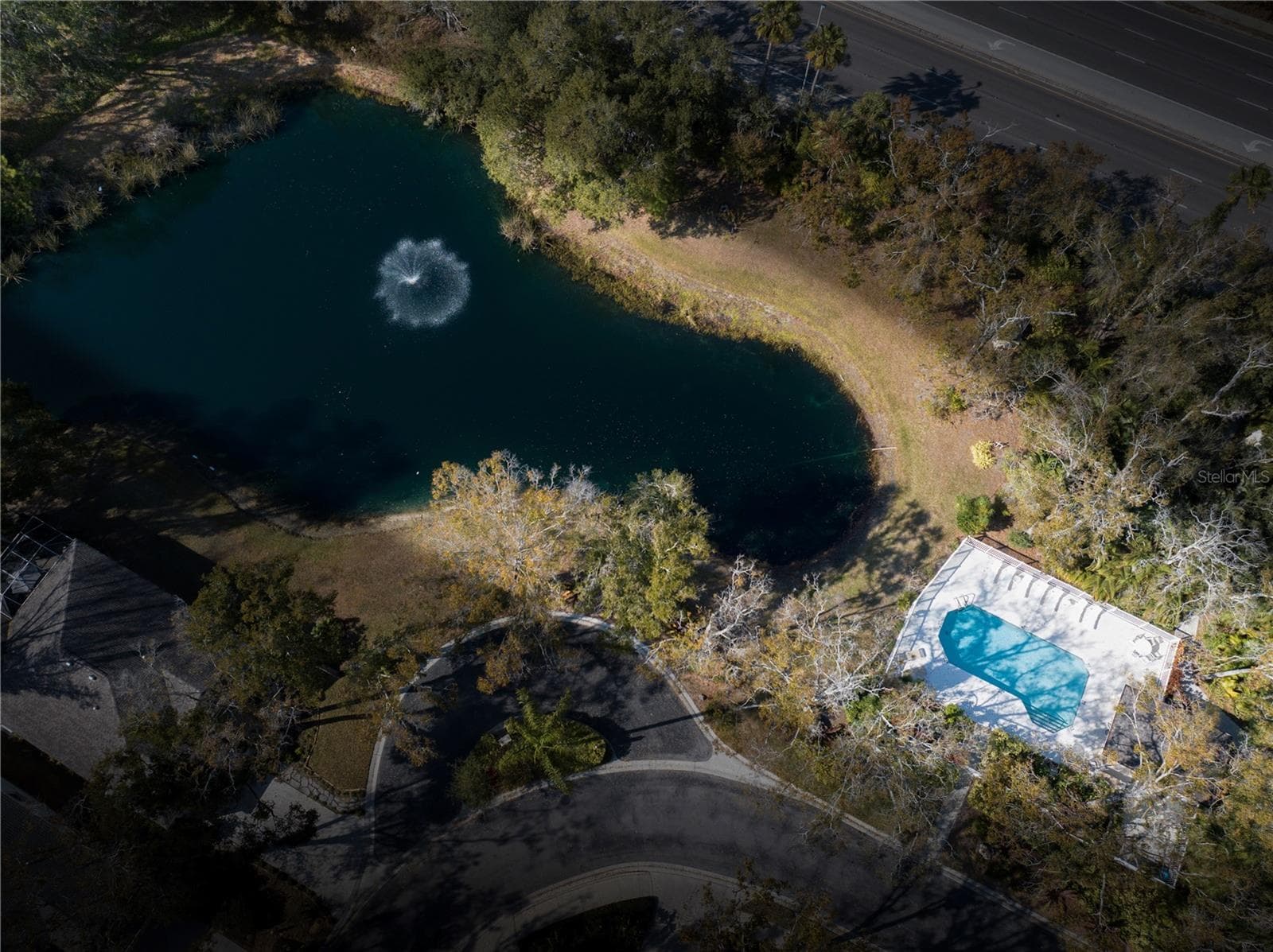 community pool with lake - 156 TALL TREES CT, SARASOTA