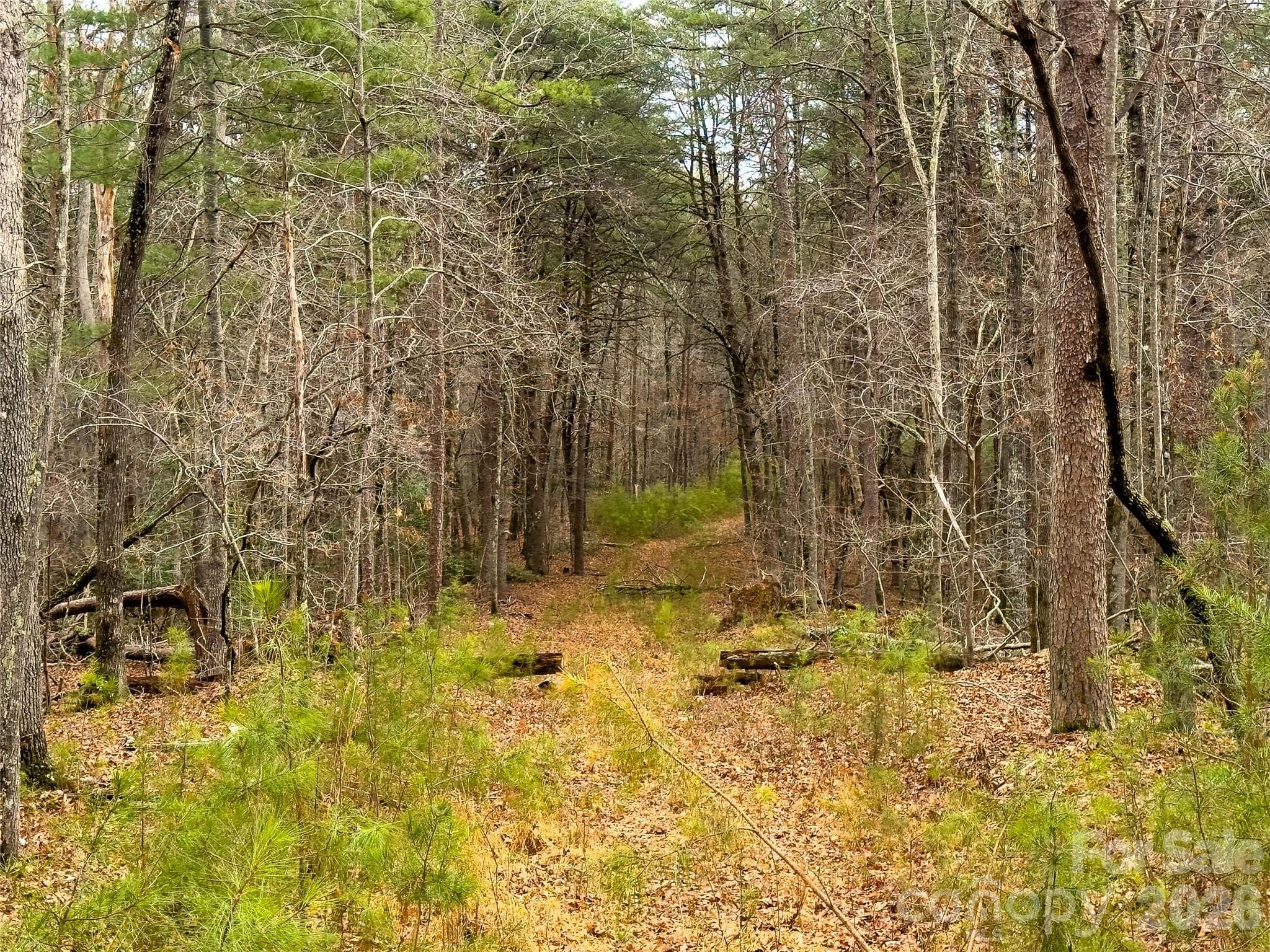 Acreage at Rutherfordton, photo 4 of 19