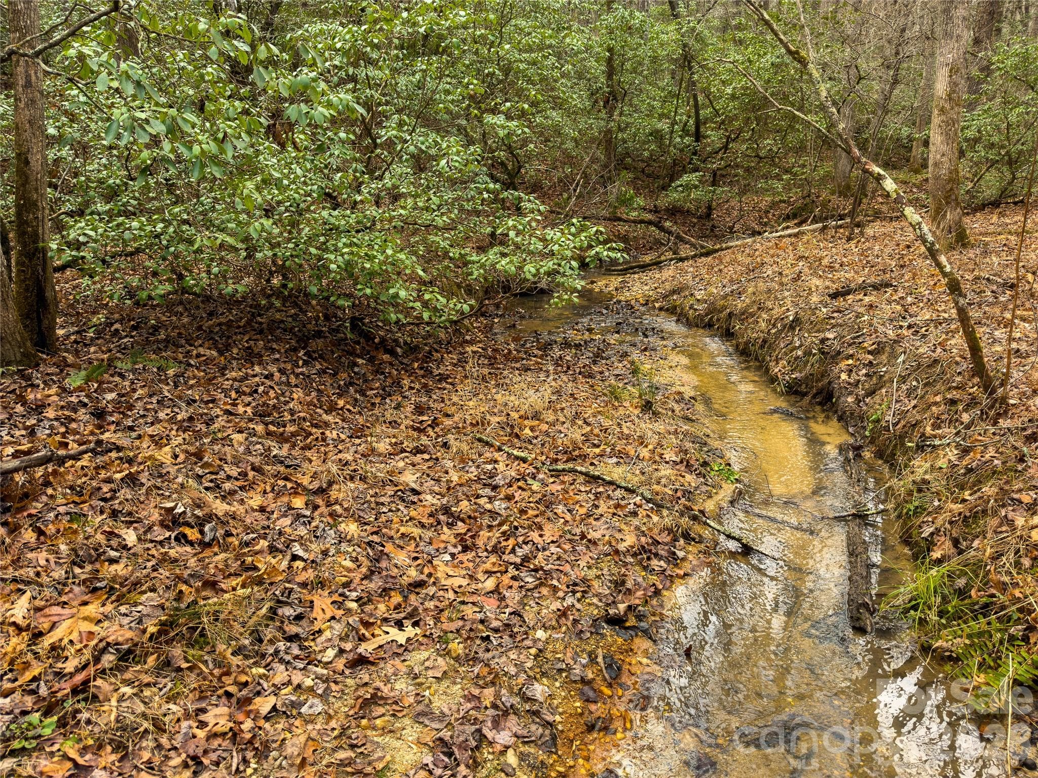 Acreage at Rutherfordton, photo 2 of 19