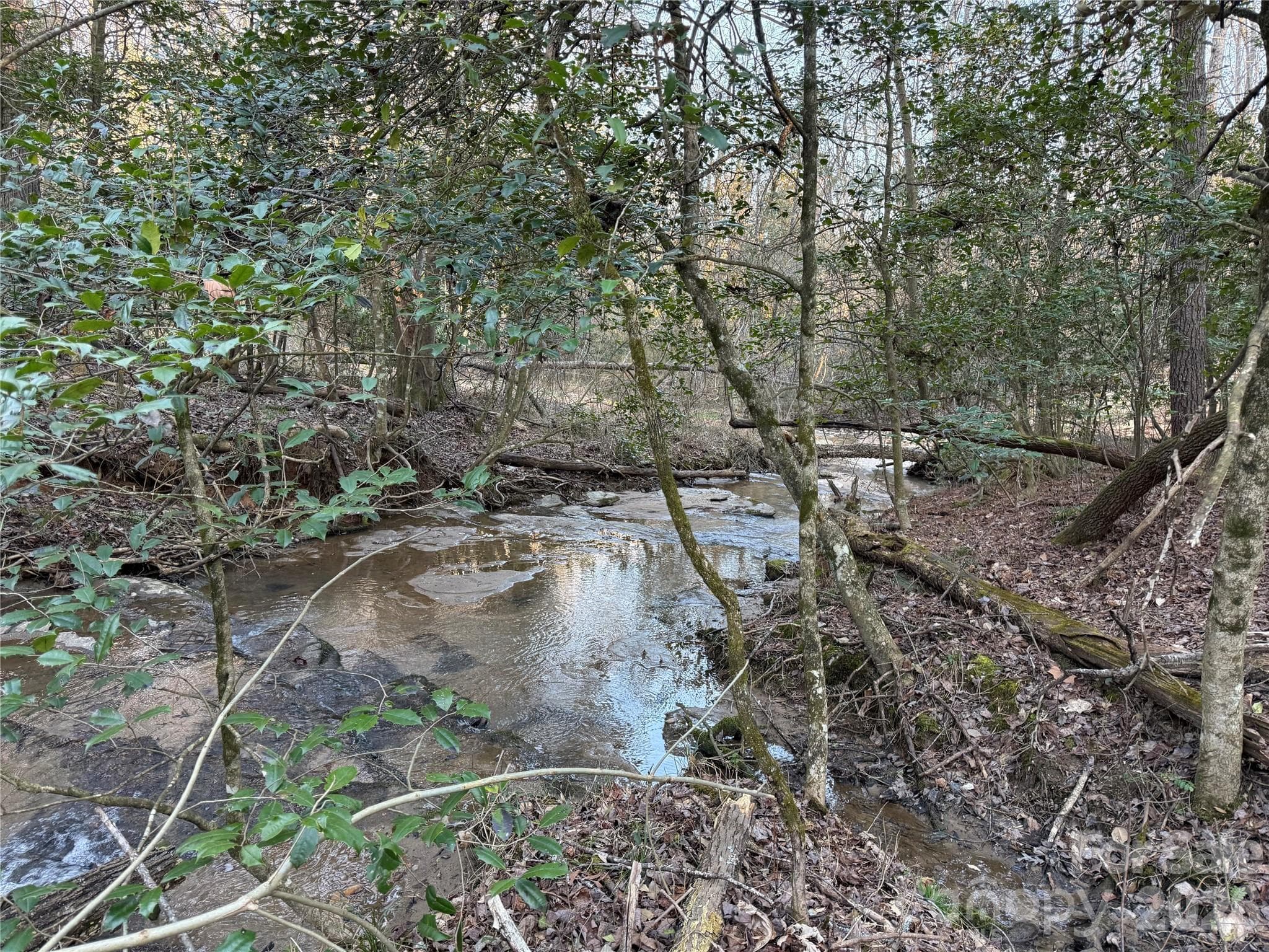 Acreage at 0000 Pilgrim Church Road, Hiddenite, photo 2 of 4