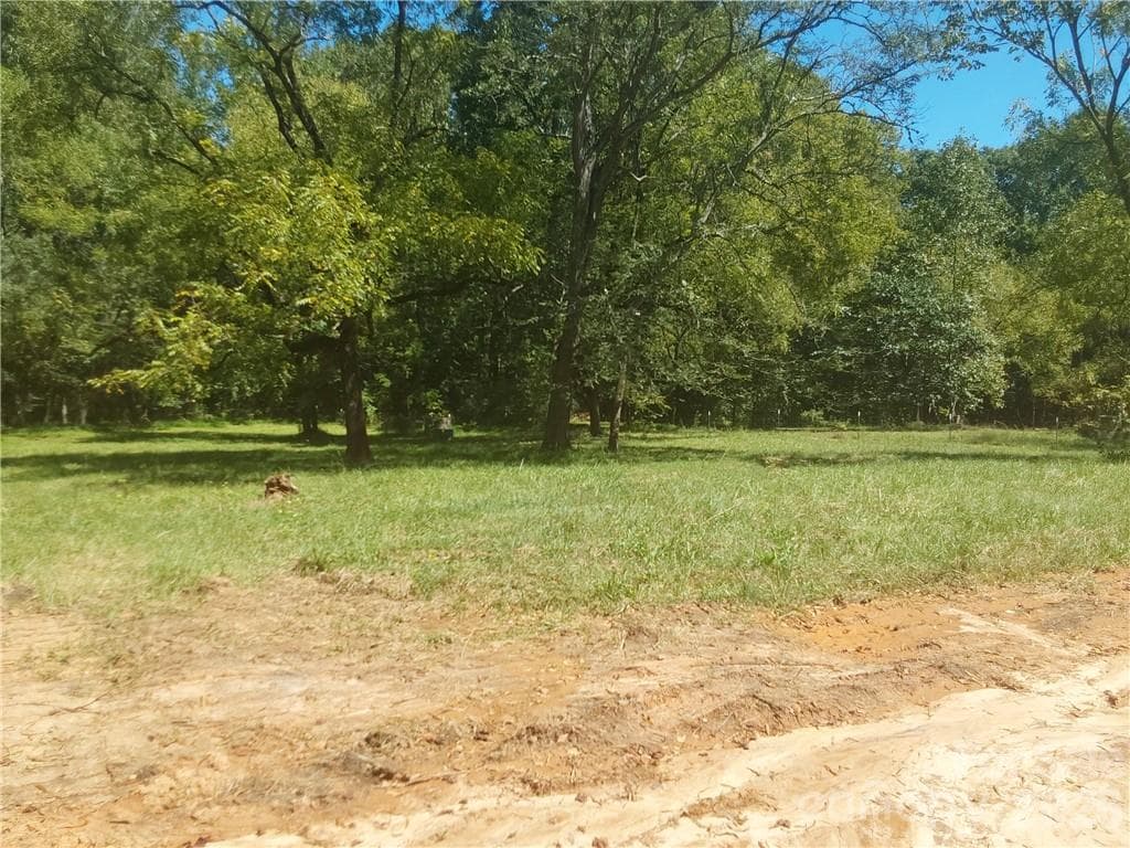 Acreage at 00 Requa Road, Cherryville, photo 6 of 26