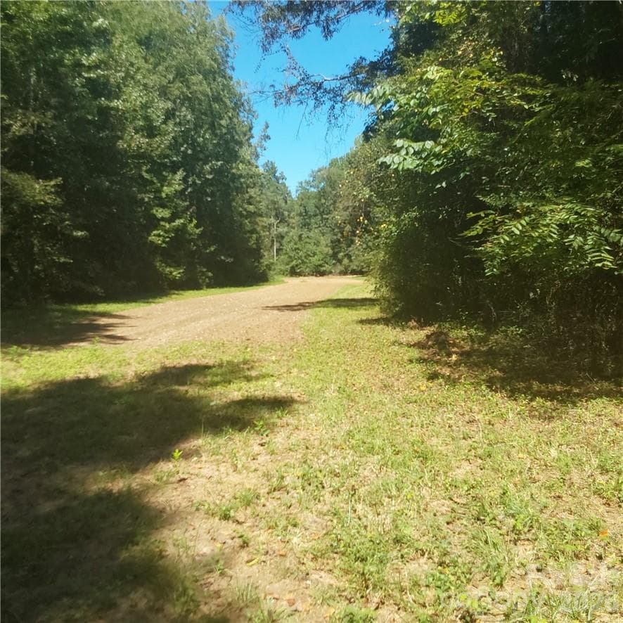 Acreage at 00 Requa Road, Cherryville, photo 10 of 26