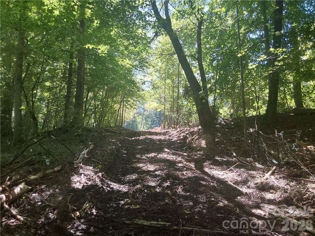 Acreage at 00 Requa Road, Cherryville, photo 16 of 26