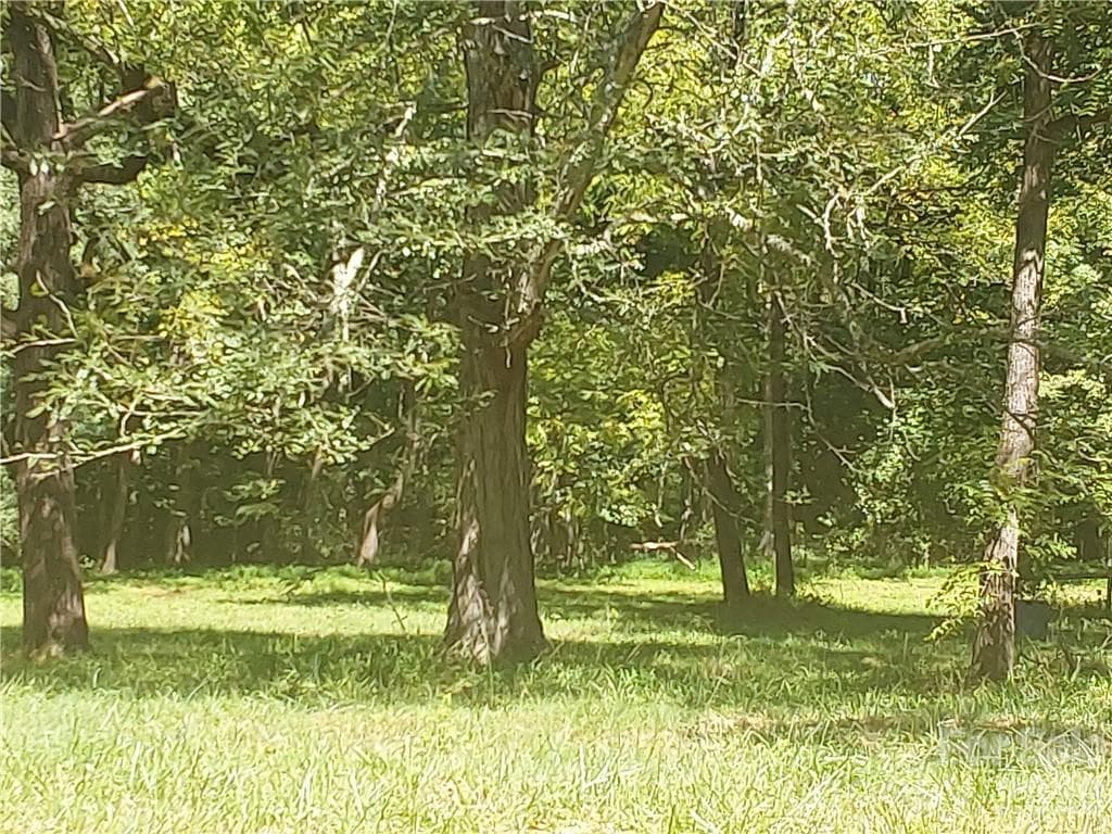 Acreage at 00 Requa Road, Cherryville, photo 19 of 26