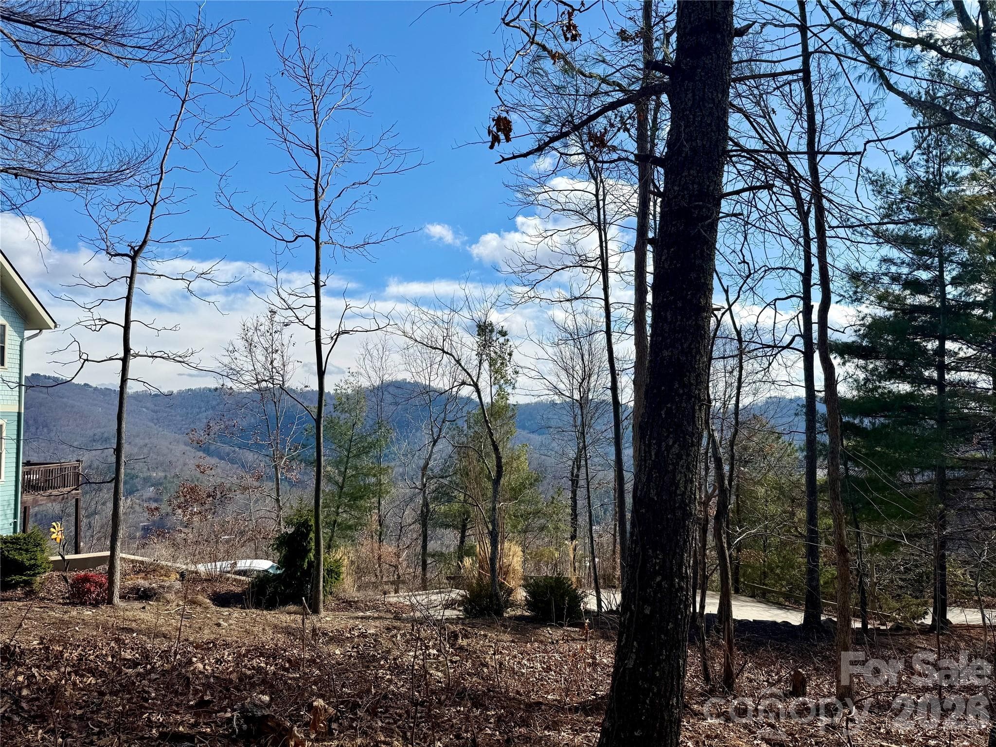 View from left side of homesite to south - Asheville