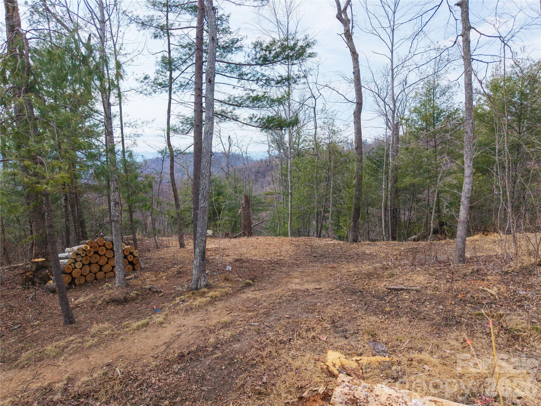 Top of lot at upper portion of build site - Asheville