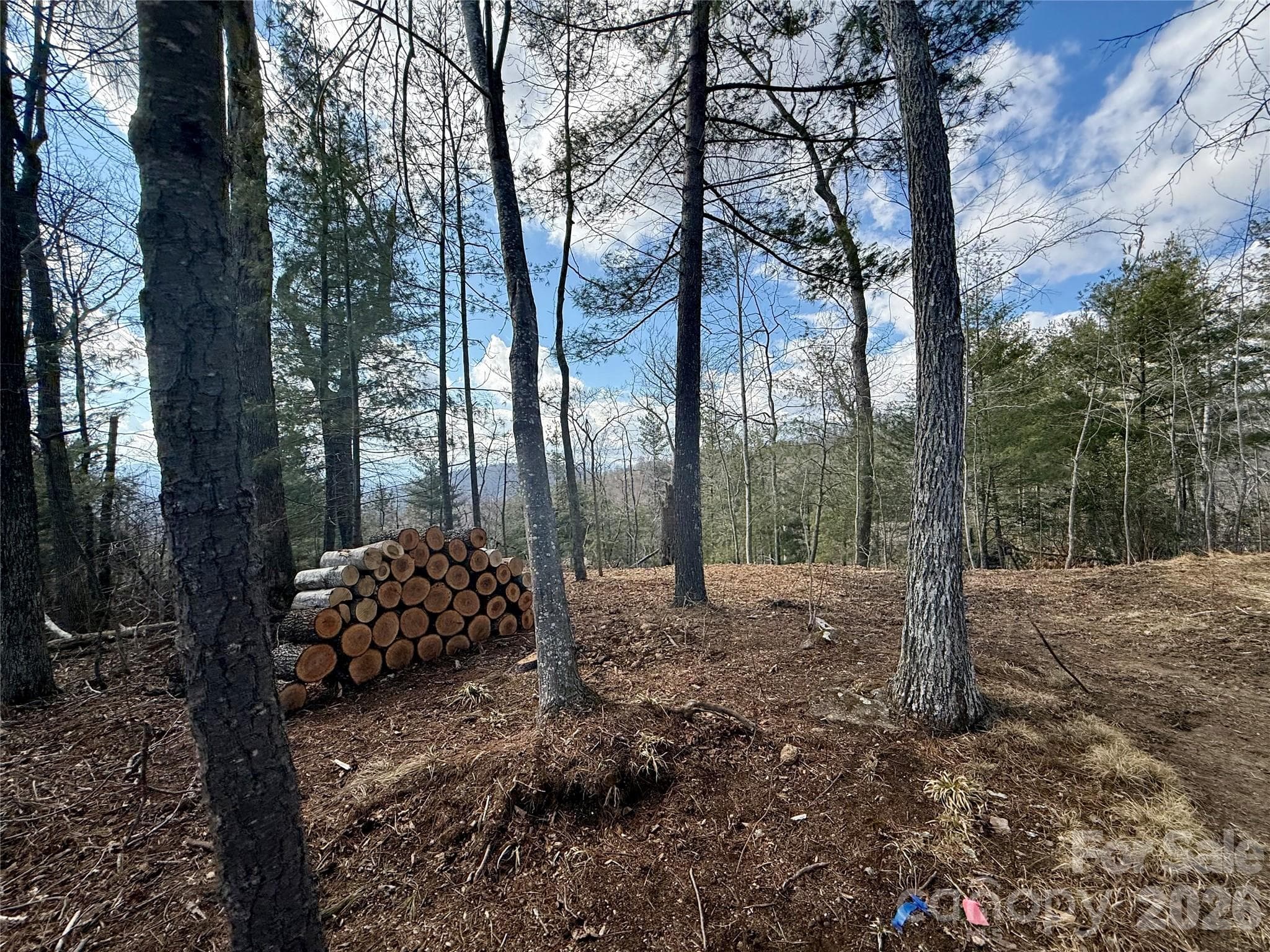 upper build site - Asheville