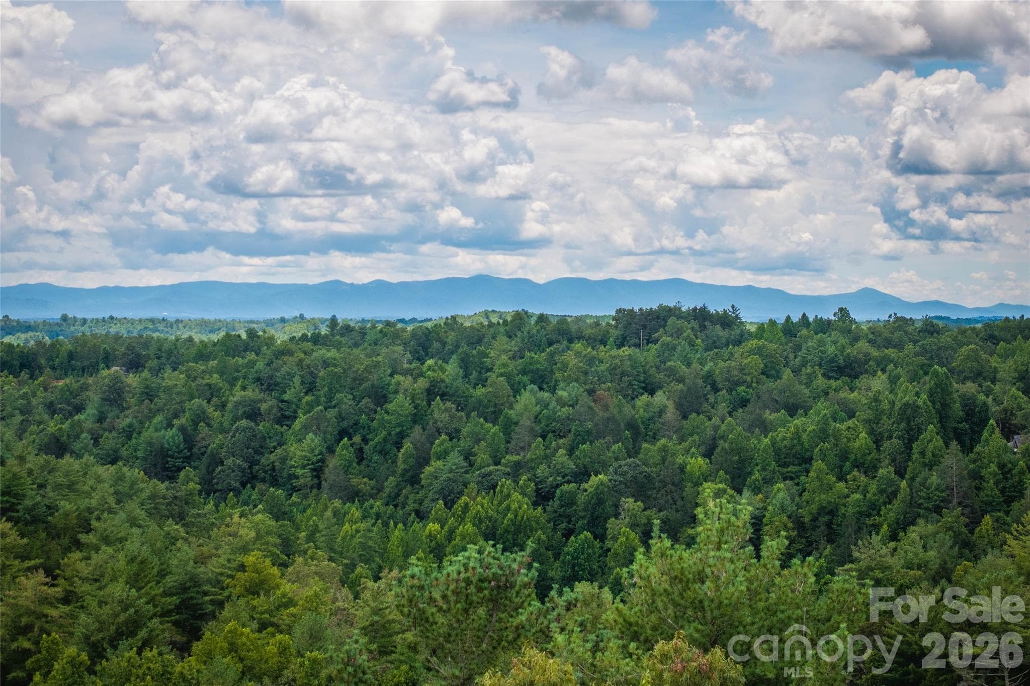 Lot at Lenoir, photo 2 of 16