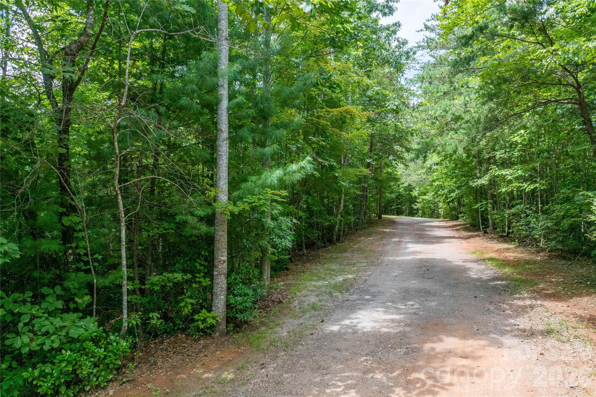 Lot at Lenoir, photo 10 of 16