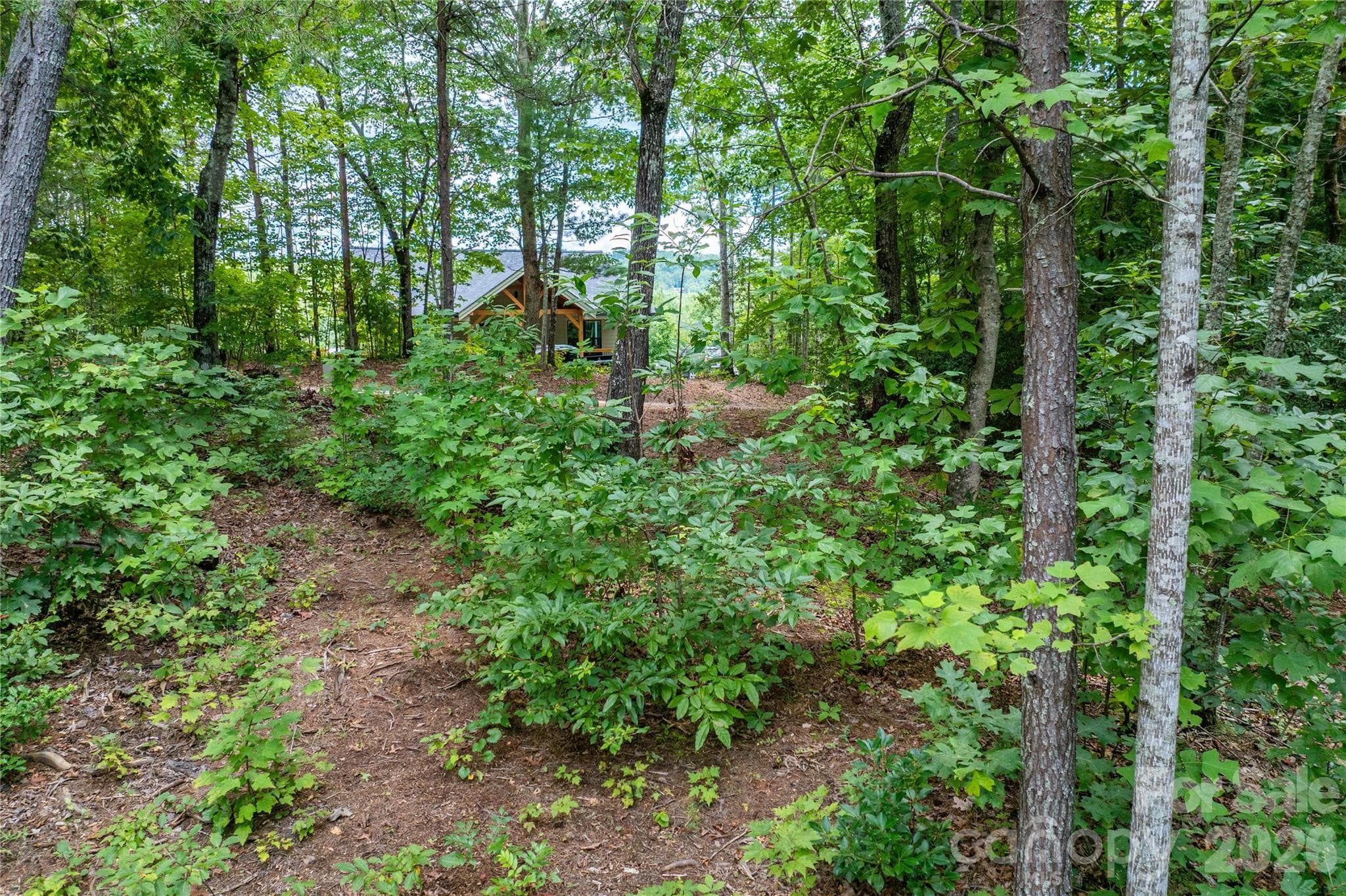 Lot at Lenoir, photo 12 of 16