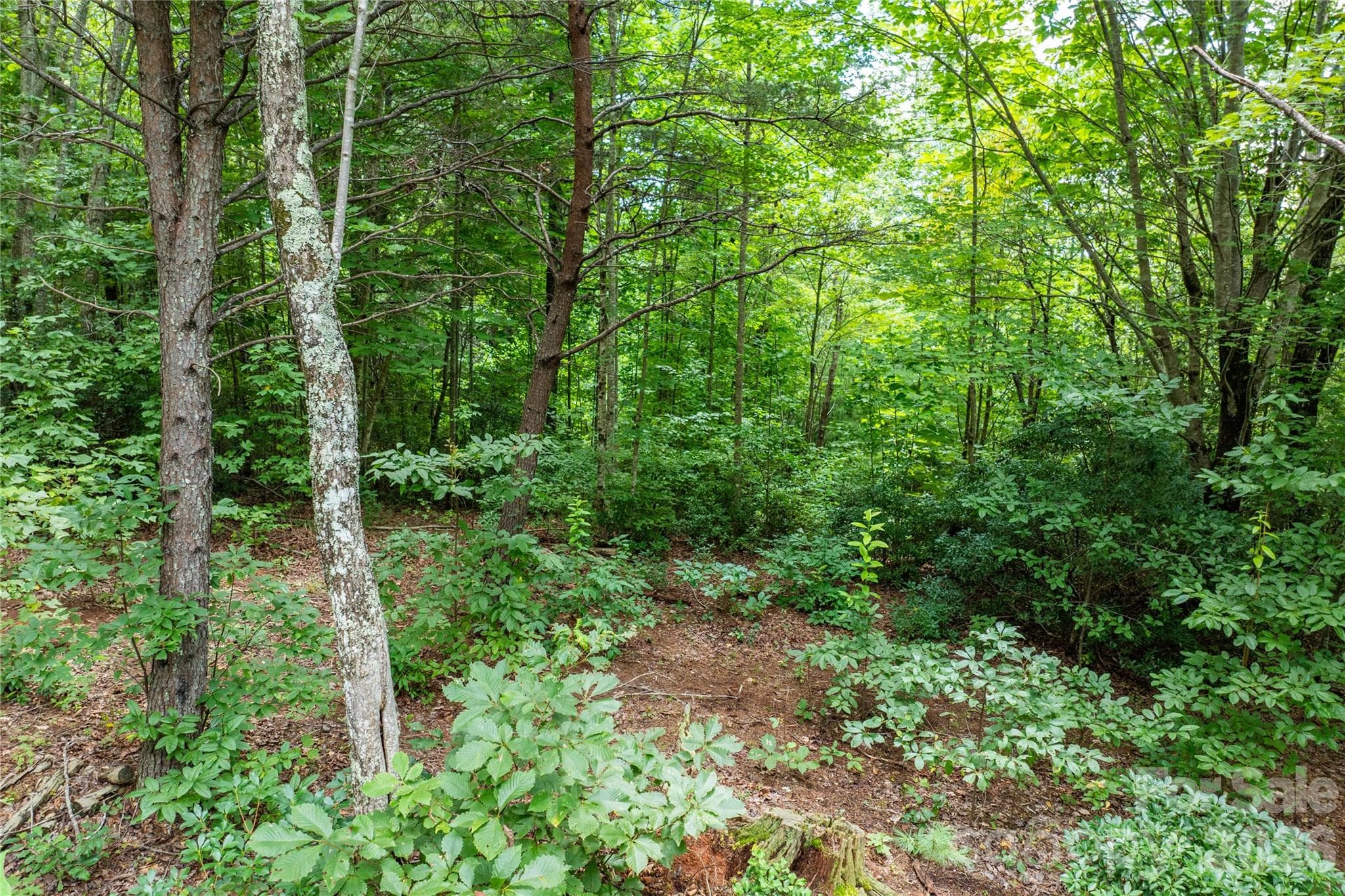 Lot at Lenoir, photo 13 of 16