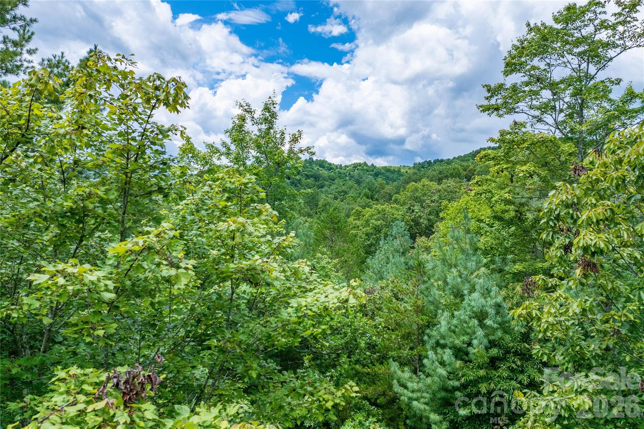 Lot at Lenoir, photo 15 of 16