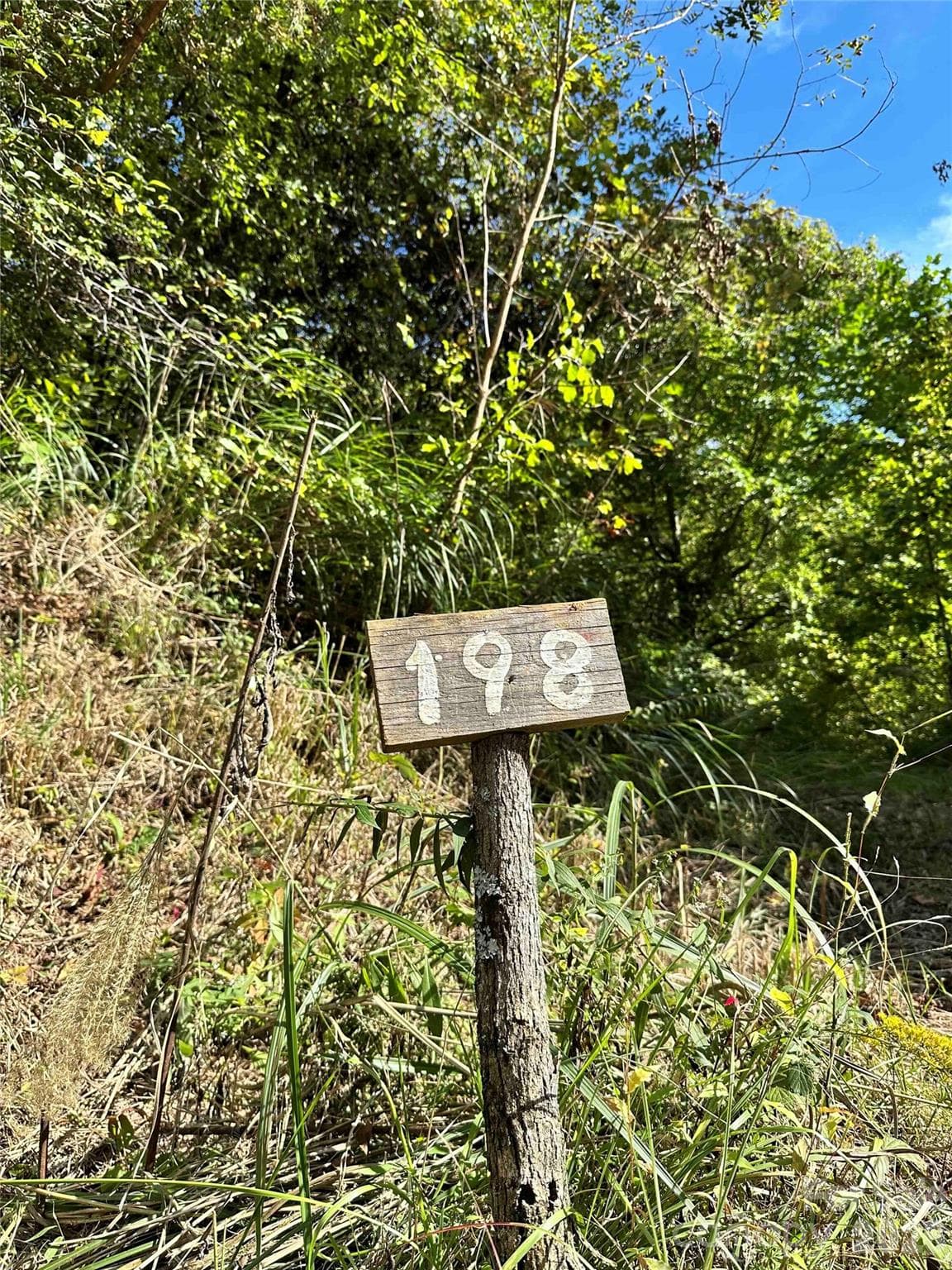 Lot at Weaverville, photo 3 of 14