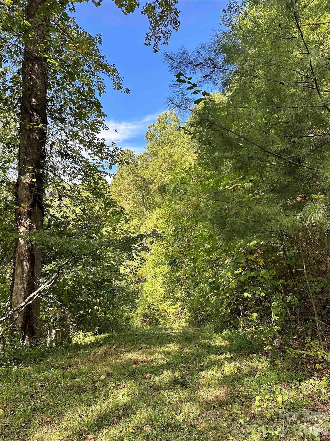Lot at Weaverville, photo 2 of 14