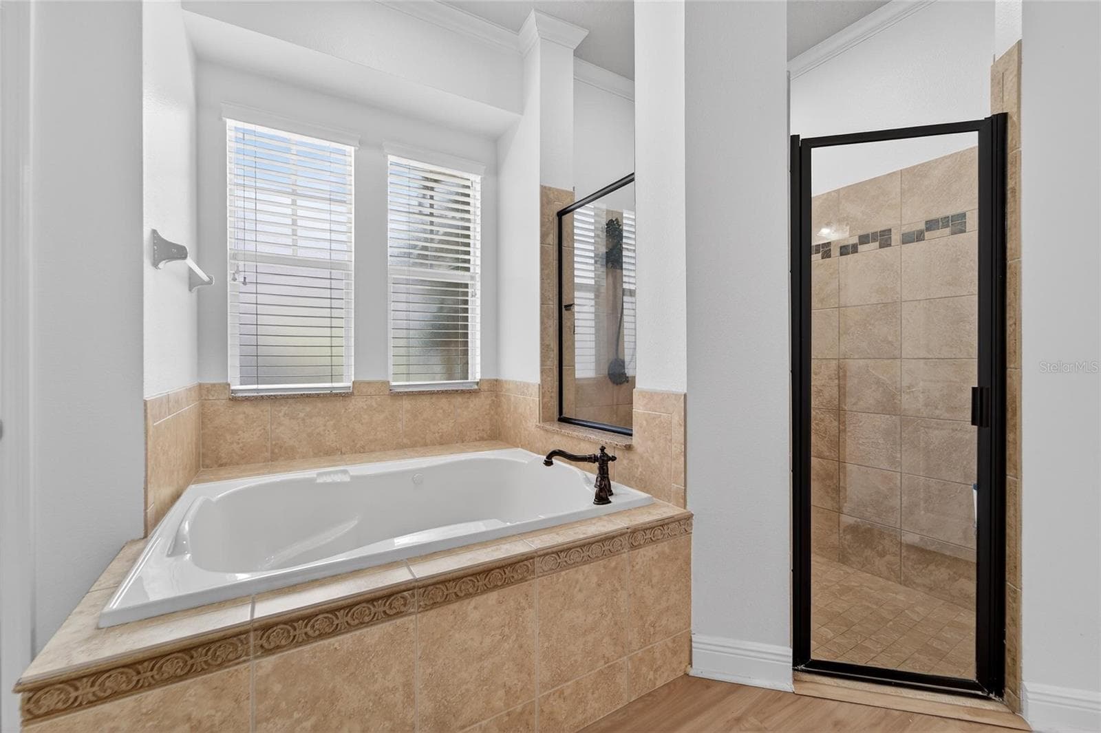 Single Family Residence at 616 MIRABAY BLVD, APOLLO BEACH, photo 44 of 107