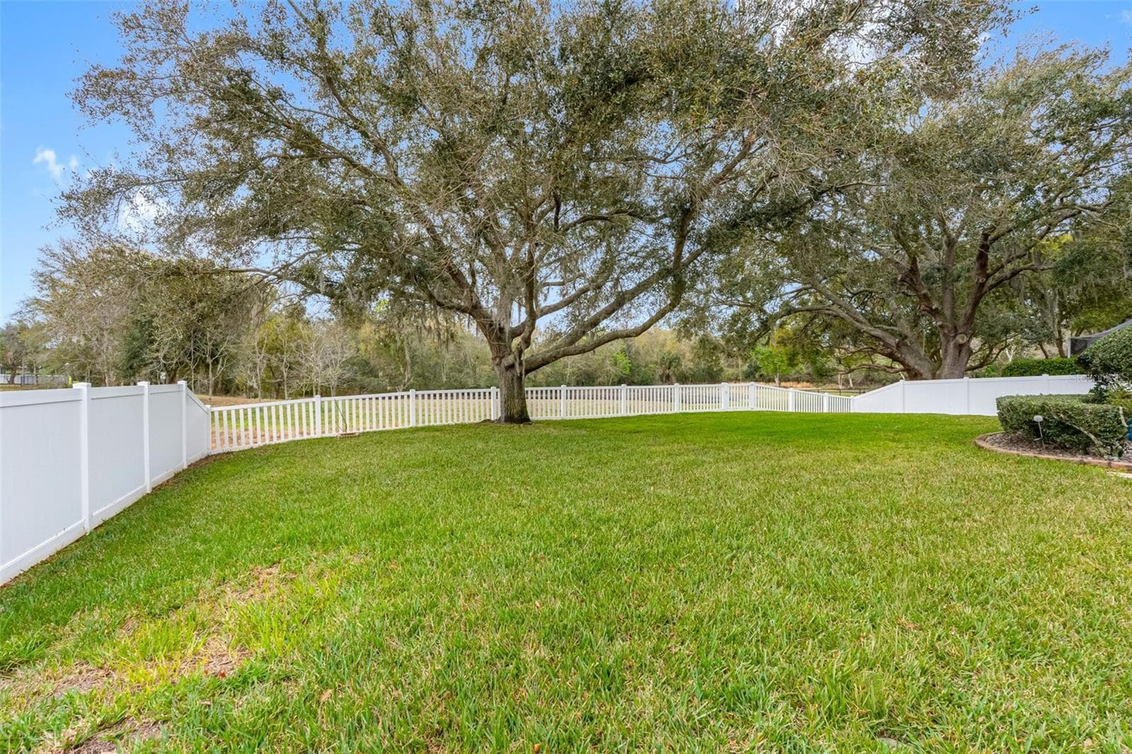 Single Family Residence at 6224 ROCKROSS AVE, NEW PORT RICHEY, photo 52 of 66