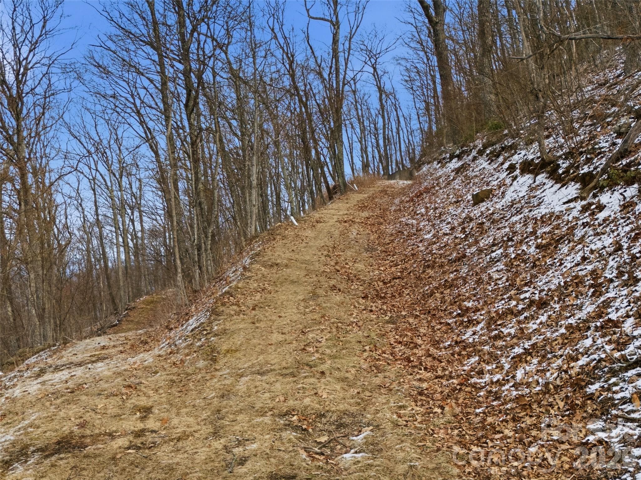 gently ascending driveway - Maggie Valley