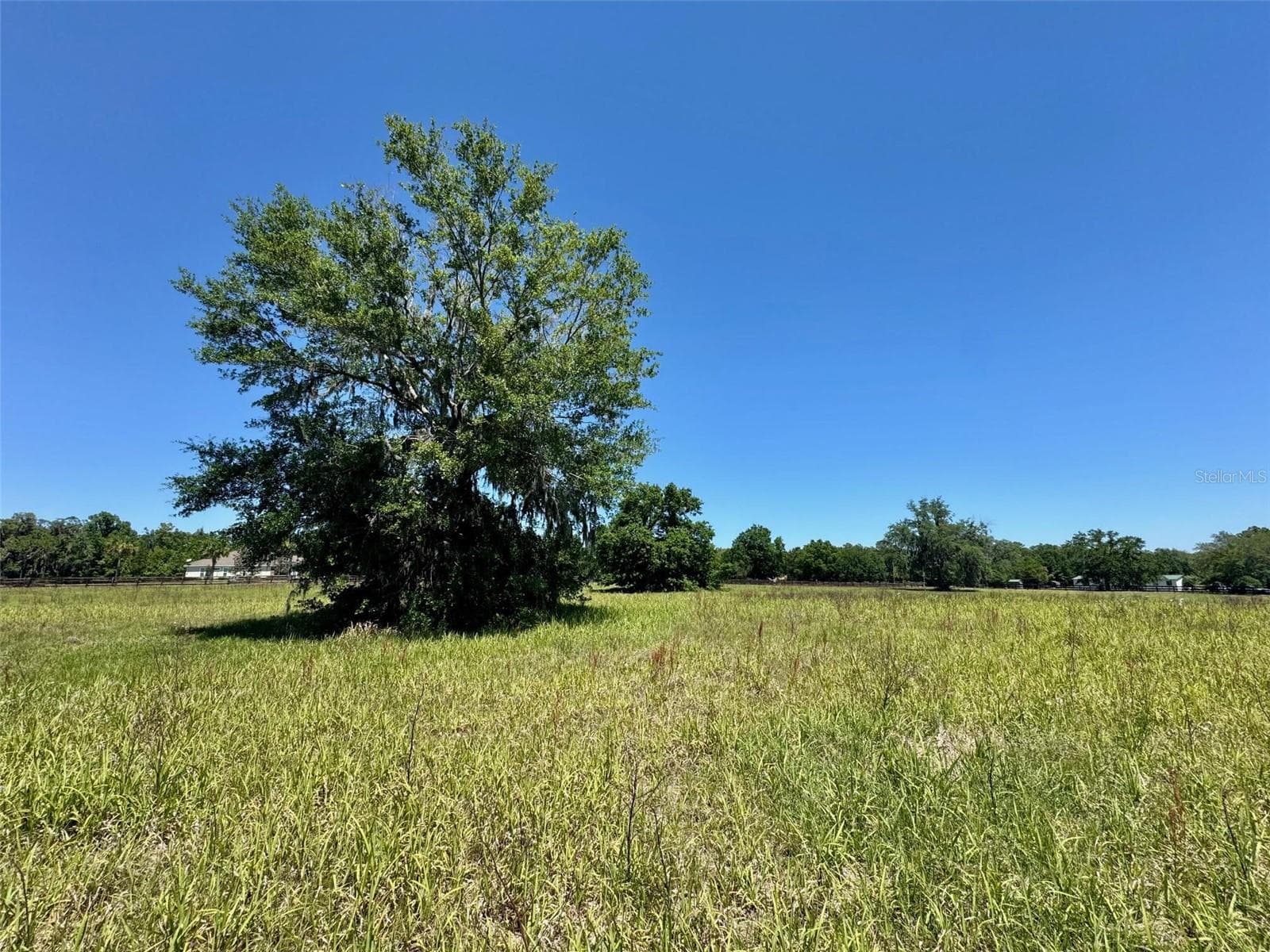 Land at 0 NW 115 AVE, OCALA, photo 7 of 9