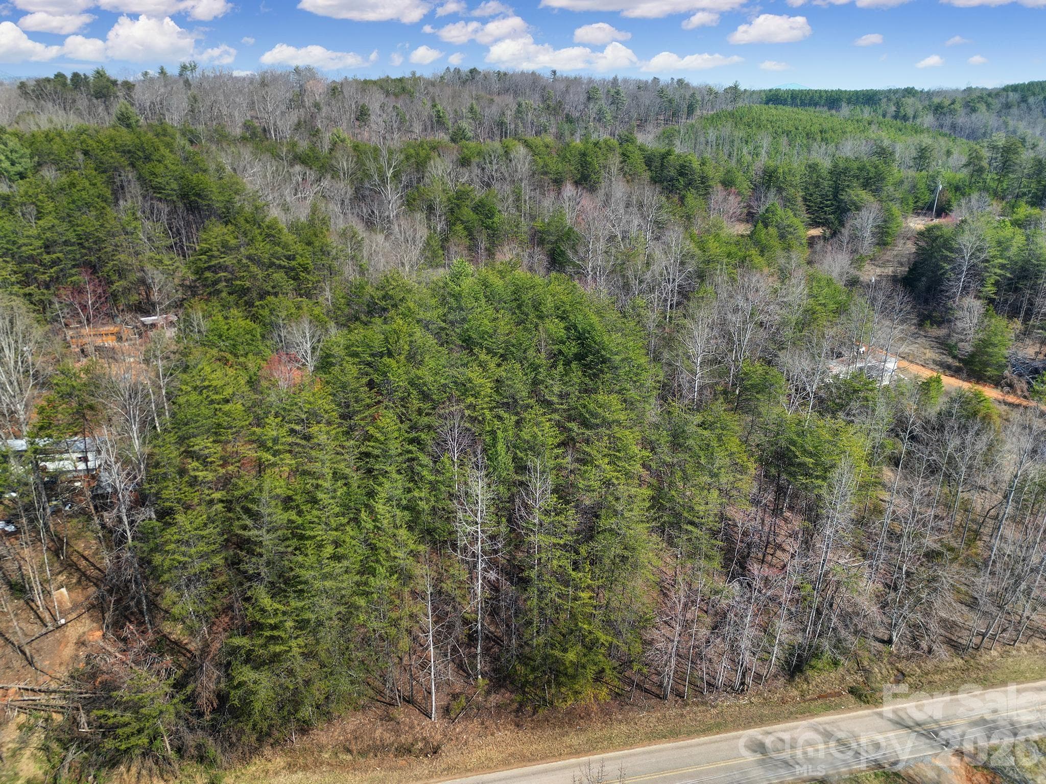 Lot at 236 Dirty Ankle Road, Lawndale, photo 2 of 12