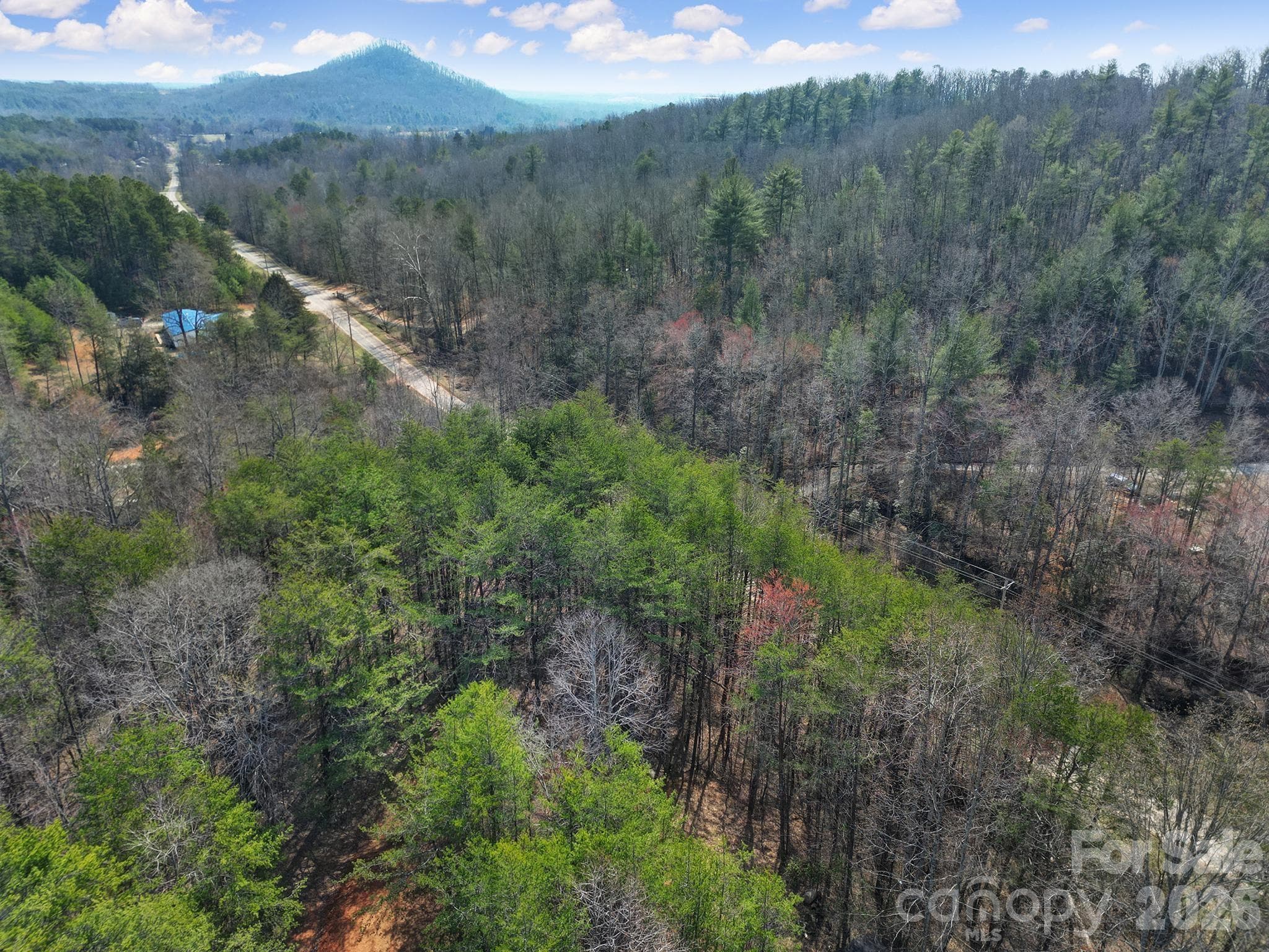 Lot at 236 Dirty Ankle Road, Lawndale, photo 5 of 12