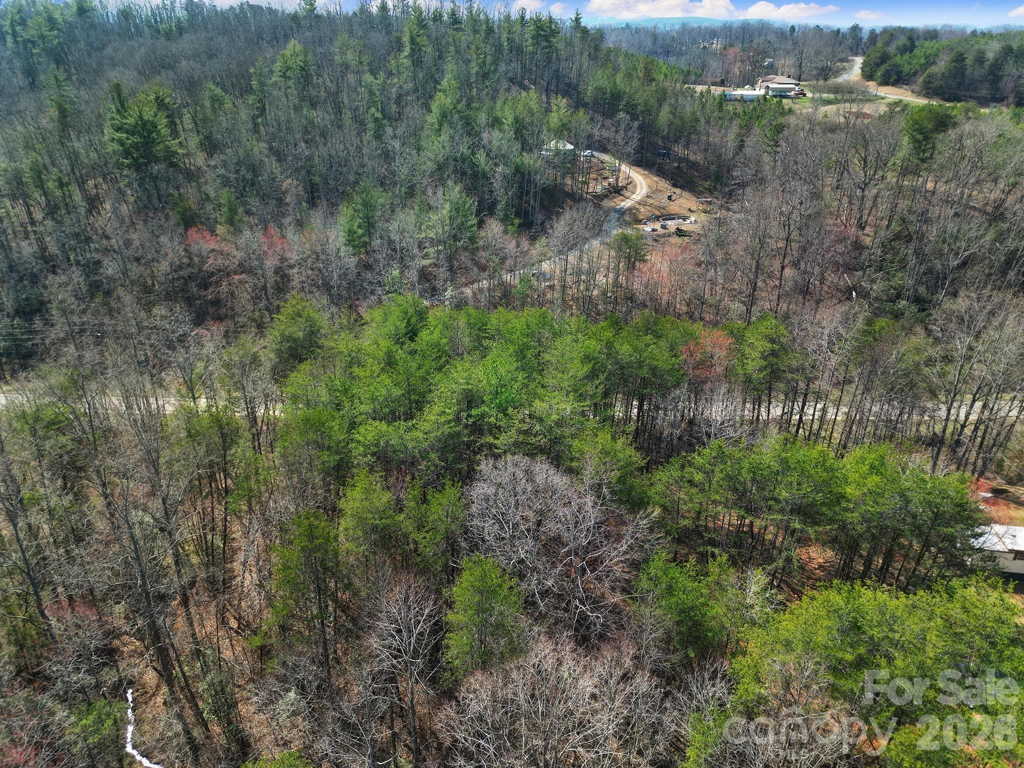 Lot at 236 Dirty Ankle Road, Lawndale, photo 7 of 12